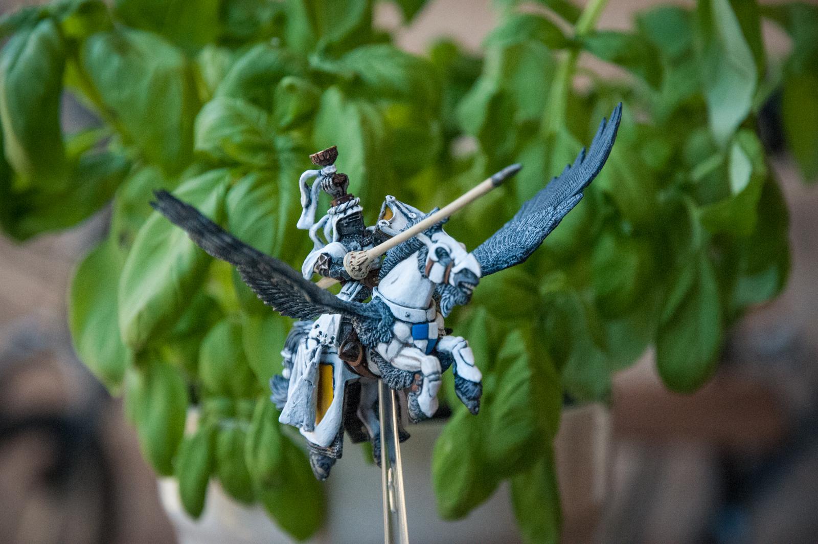 Bretonnians, Brotherhood, Character, Hero, Kings Of War, Knights, Pegasus, Warhammer Fantasy
