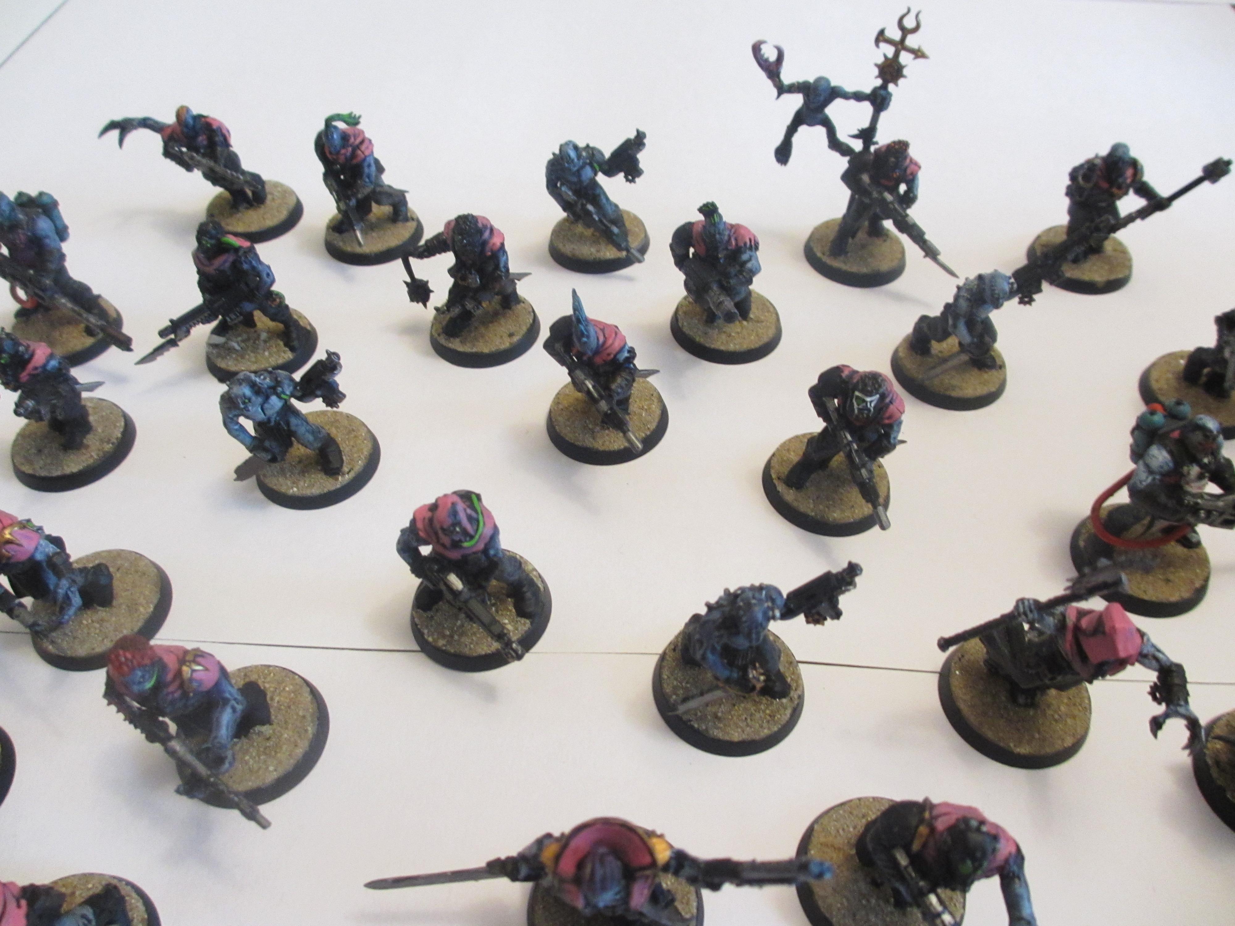 Violet Claw Neophyte Hybrids (2)