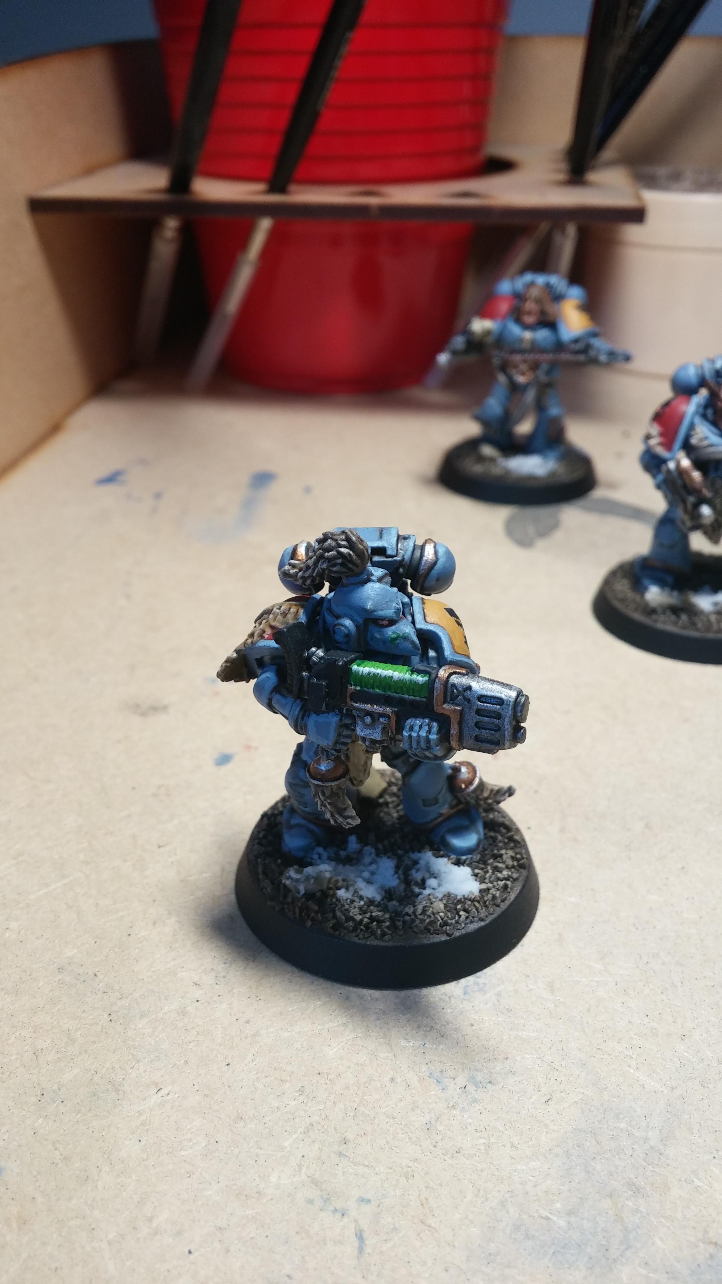 Grey Hunter plasma