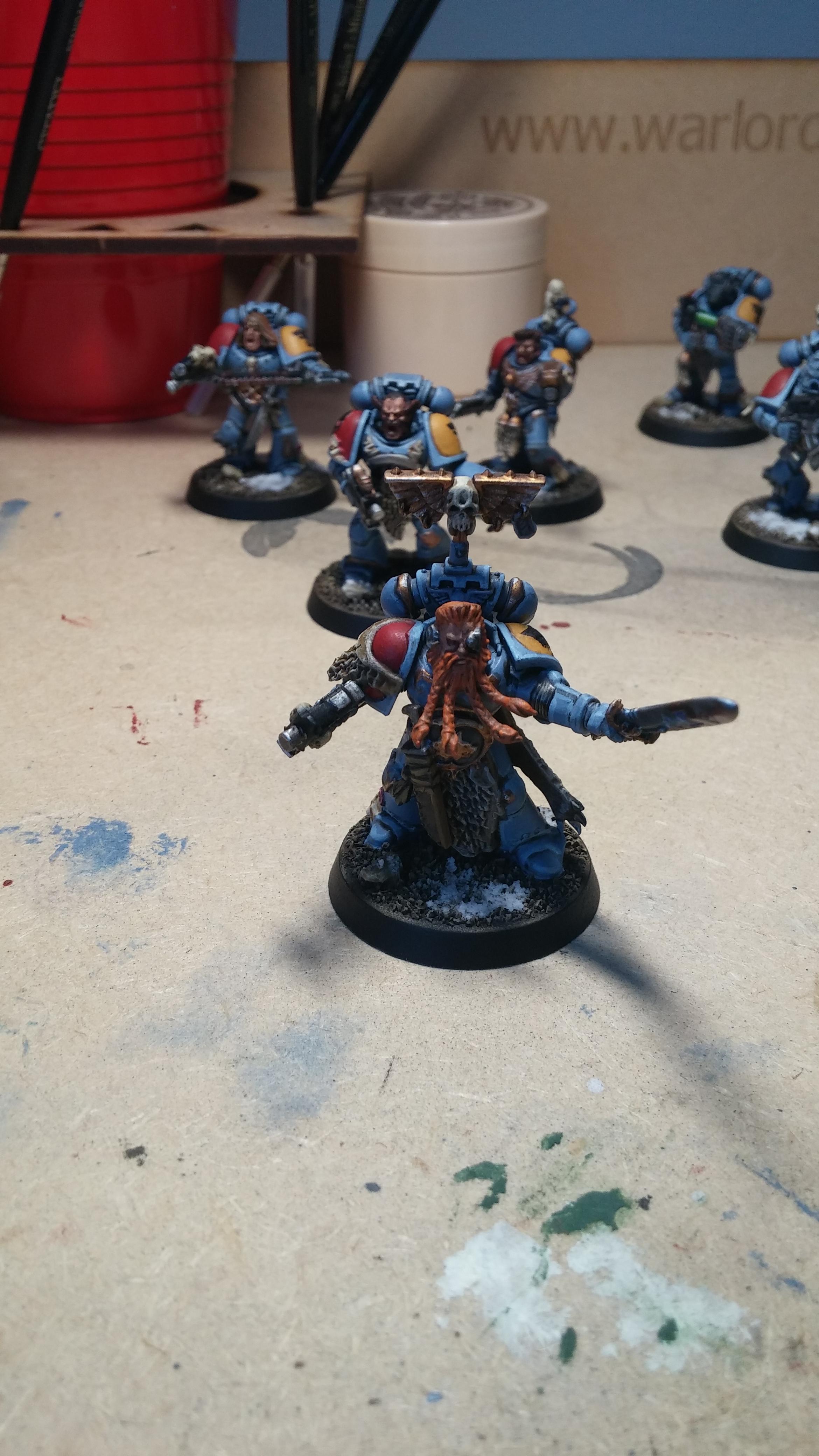 Grey Hunters pack leader