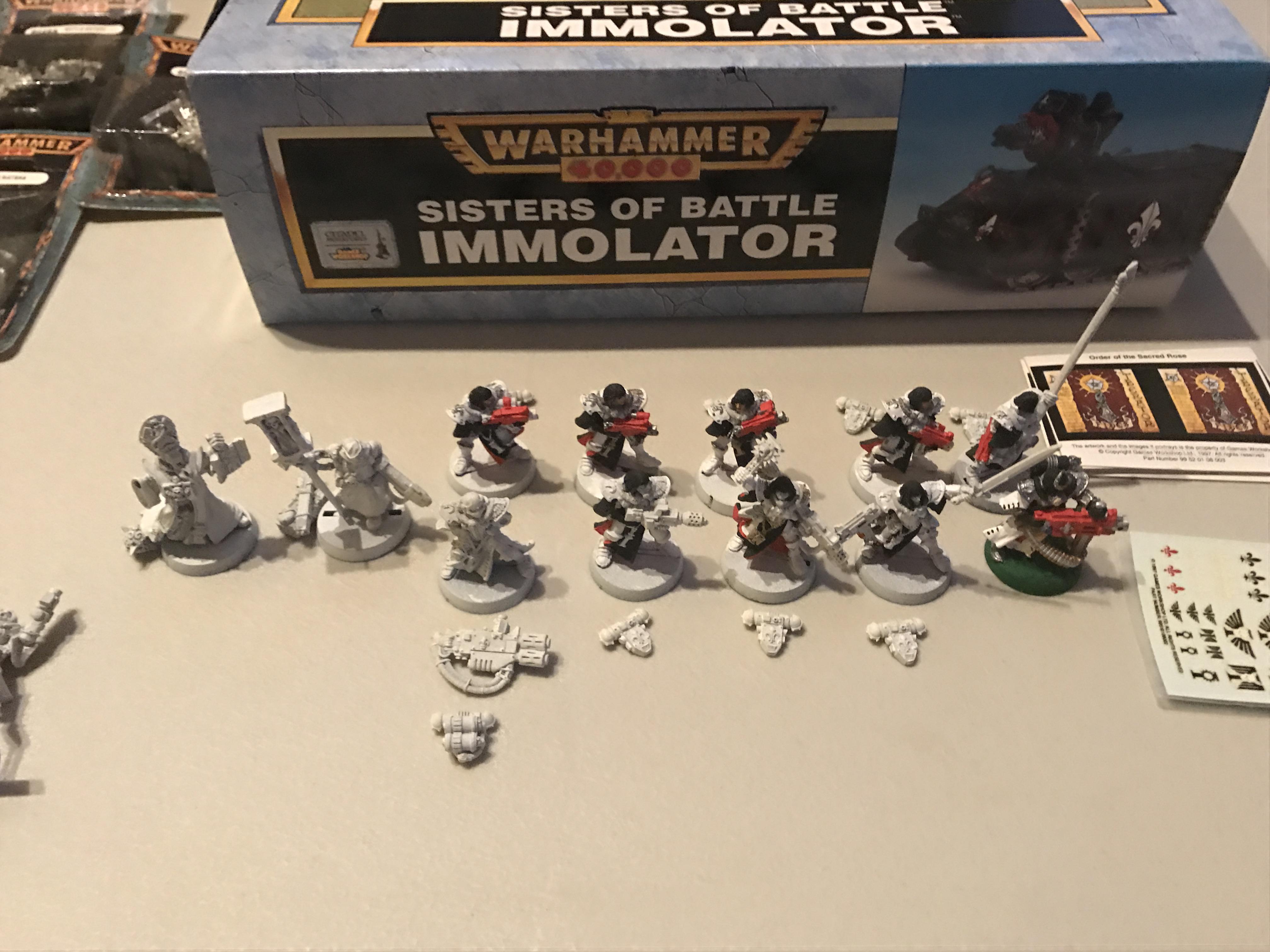 Battle Sisters