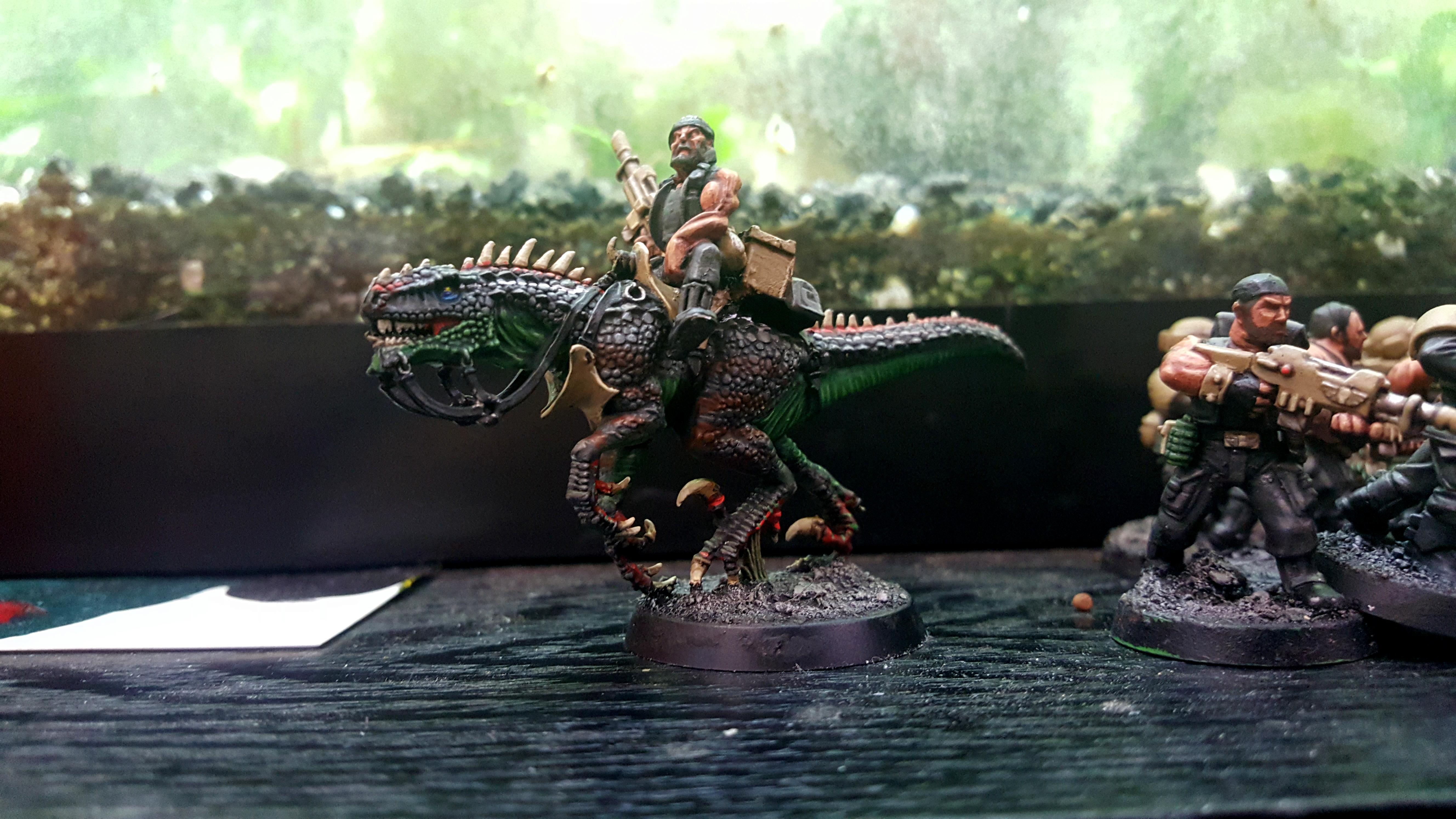 Rough rider