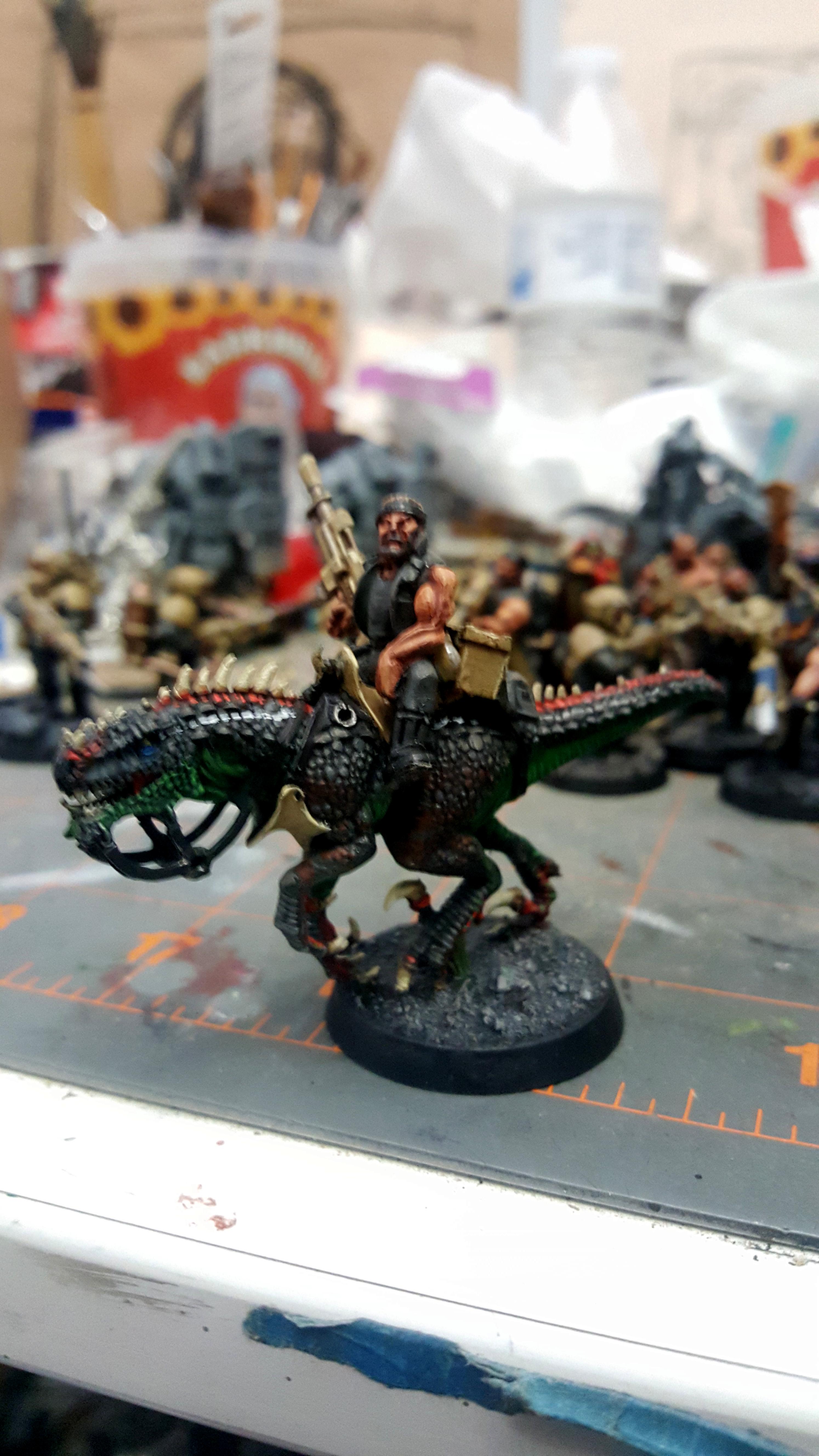 Rough rider
