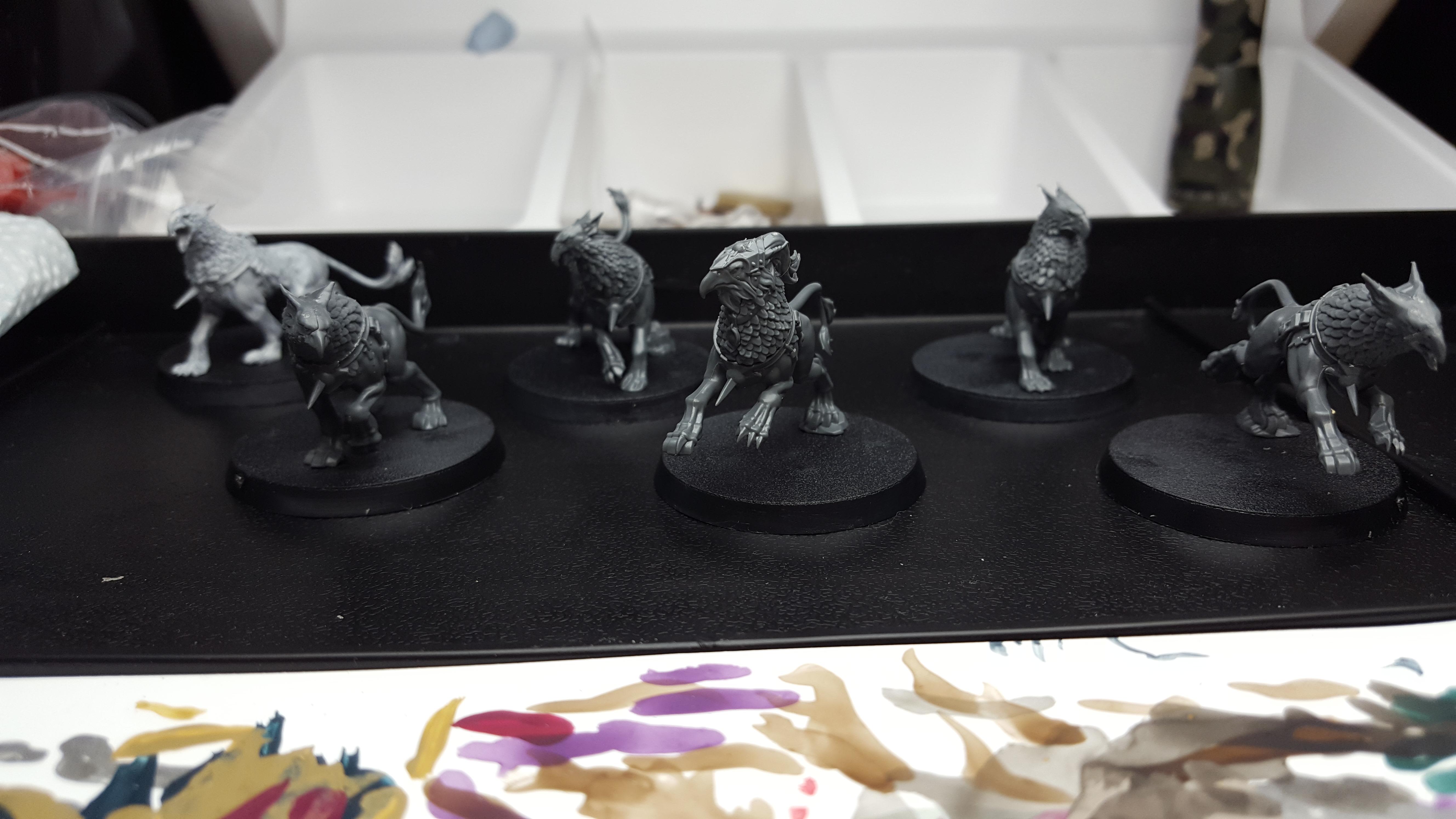 Gryph hounds pack