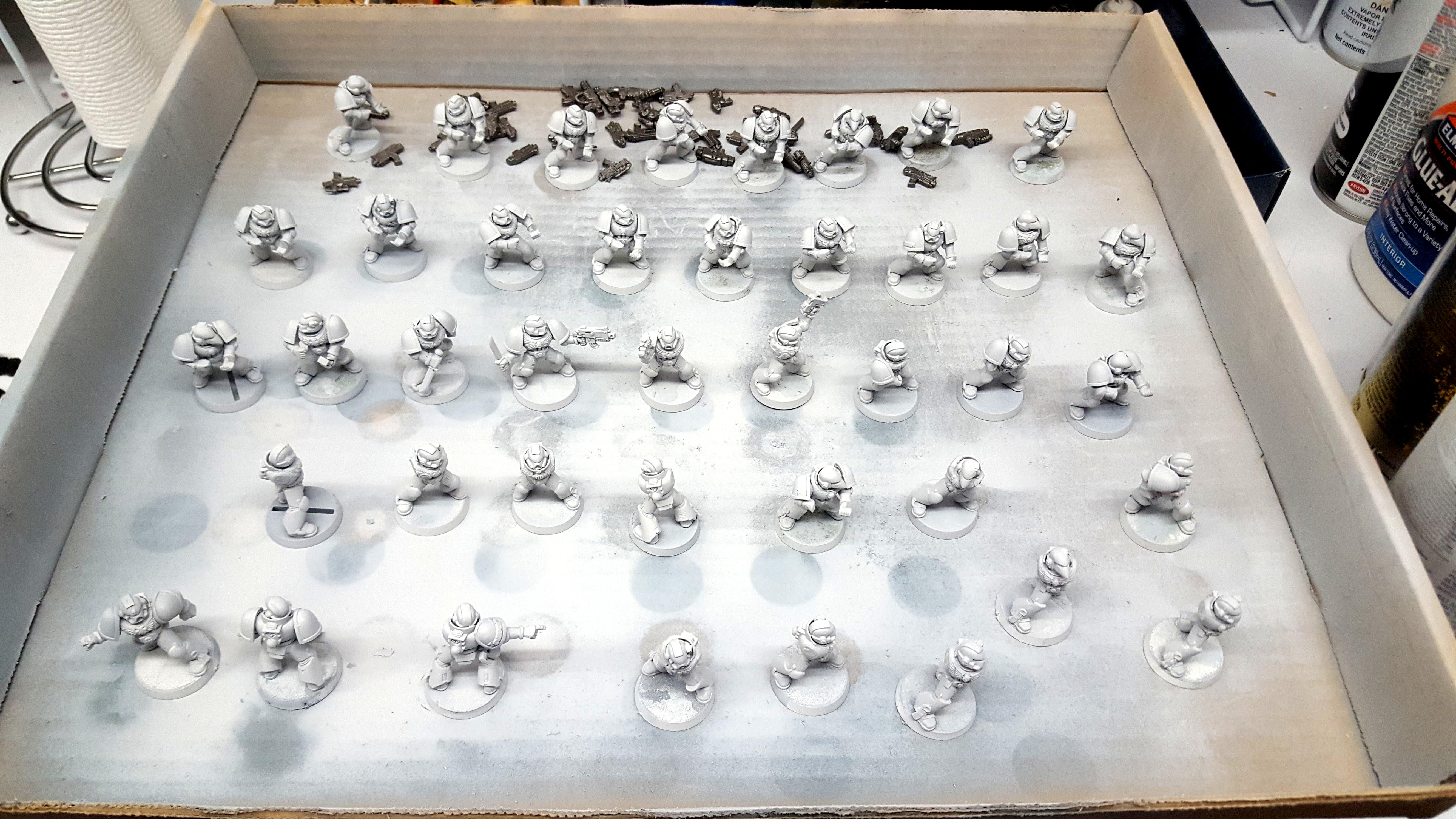 Mass assembly of White Scars