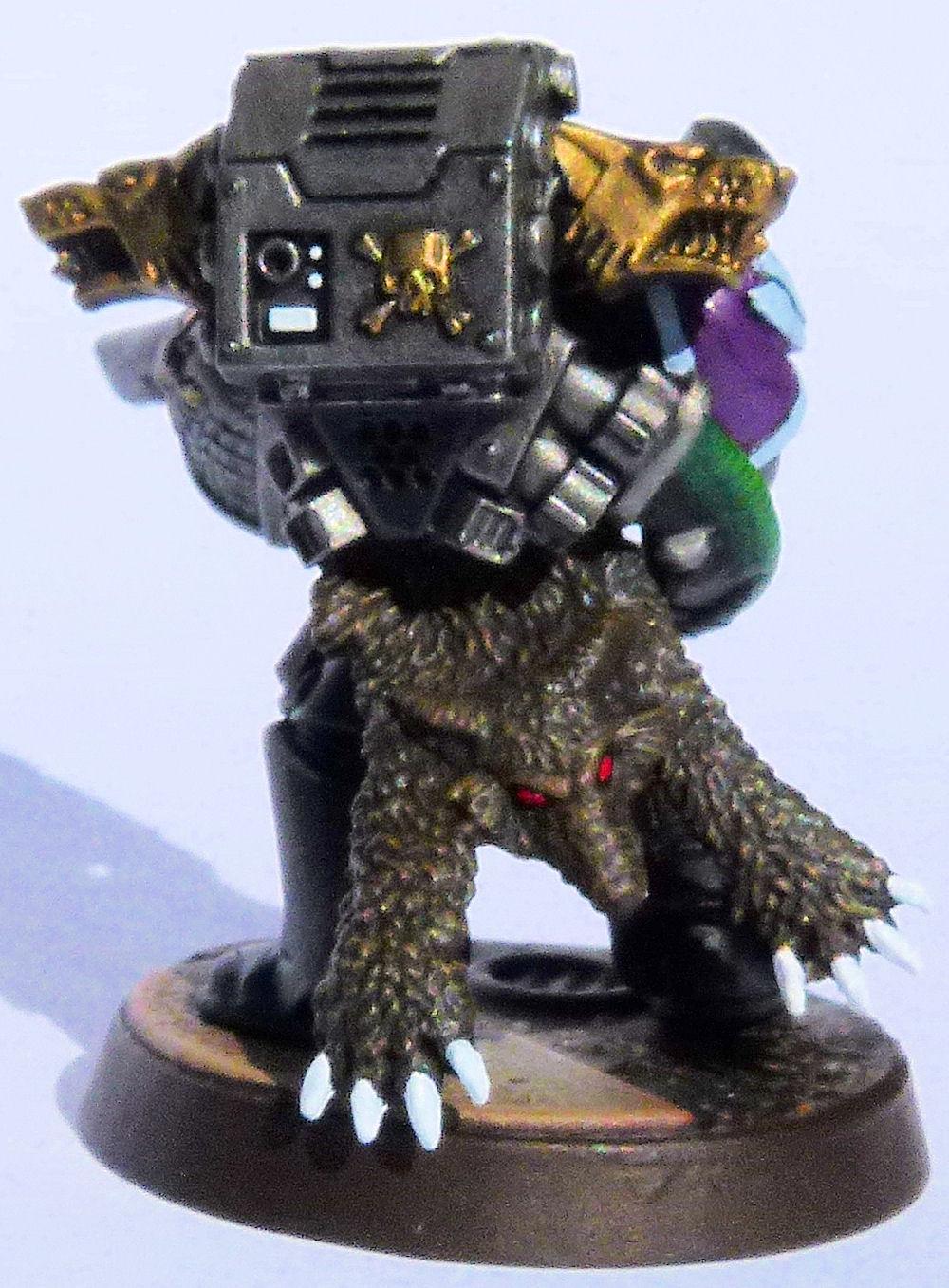 Shadow Wolves Deathwatch Veteran Rear