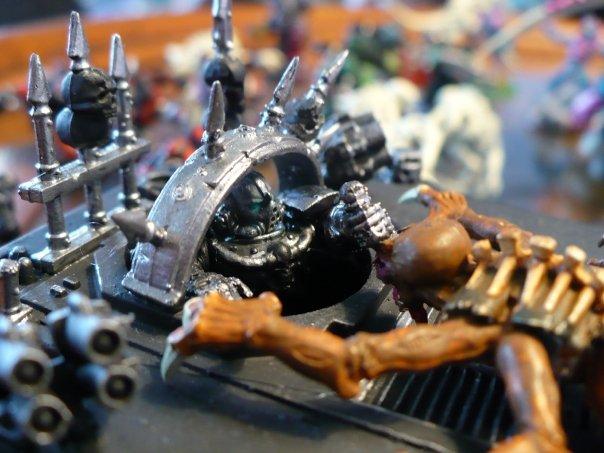 Chaos, Nids