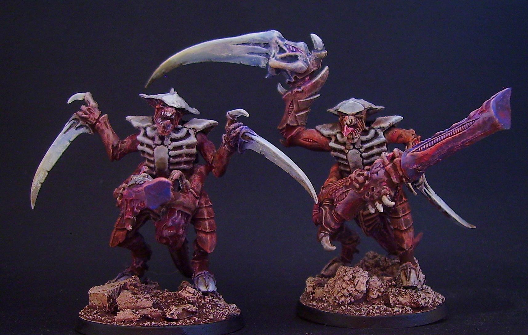 Tyranids, Warriors
