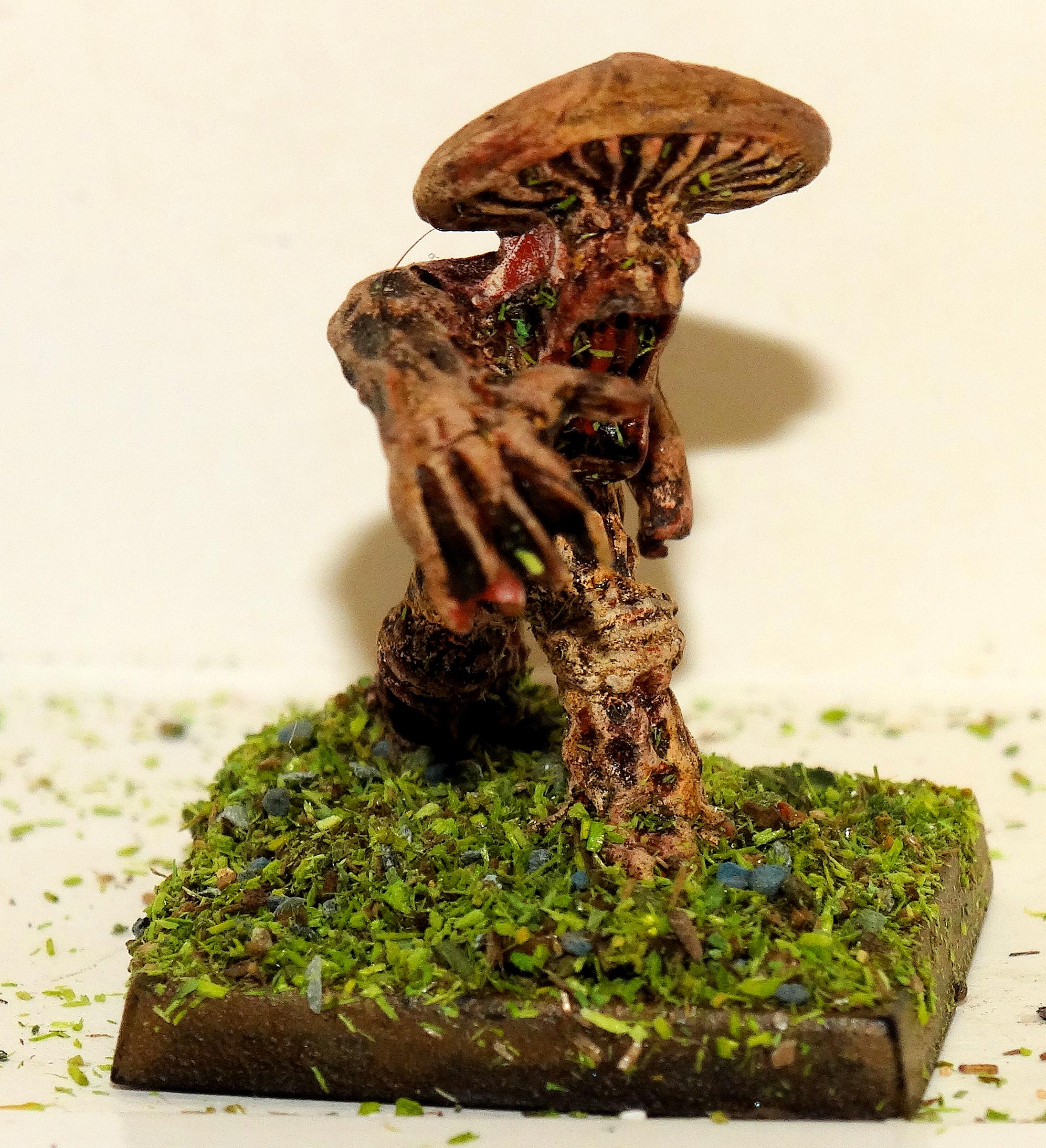 Violent Fungi
