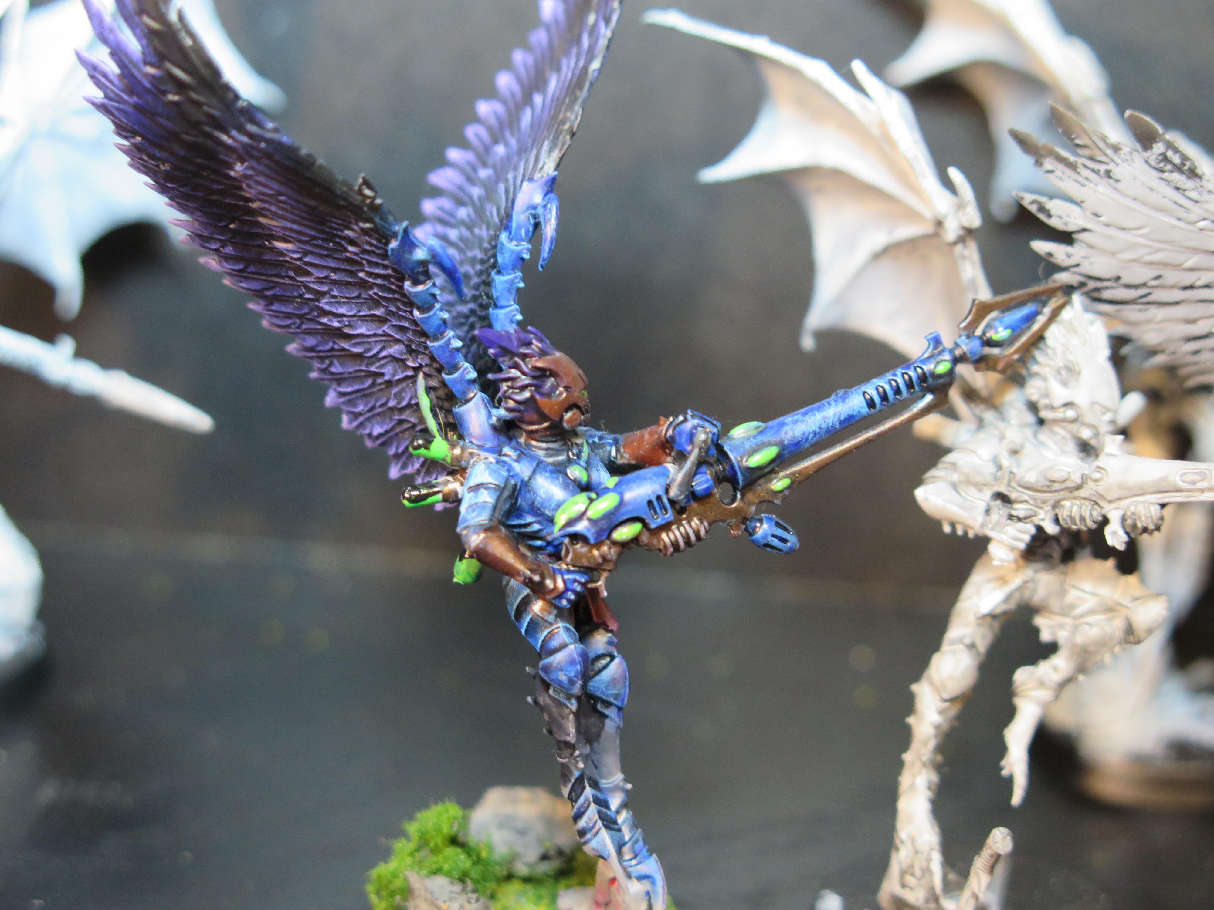Completed Scourge