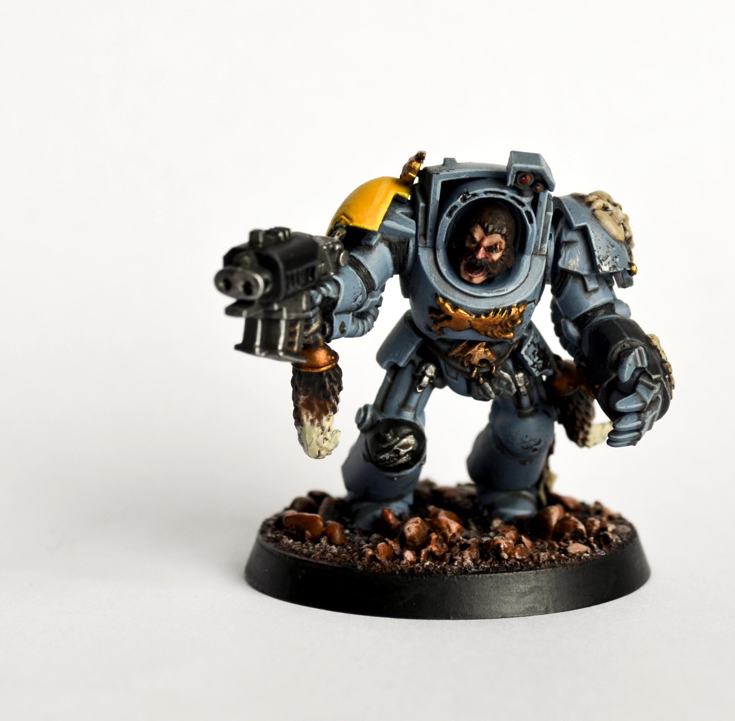 Armor, Head, Magnet, Power Fist, Space Wolves, Stormbolter, Terminator Armor, Wolf, Wolf Guard, Yellow