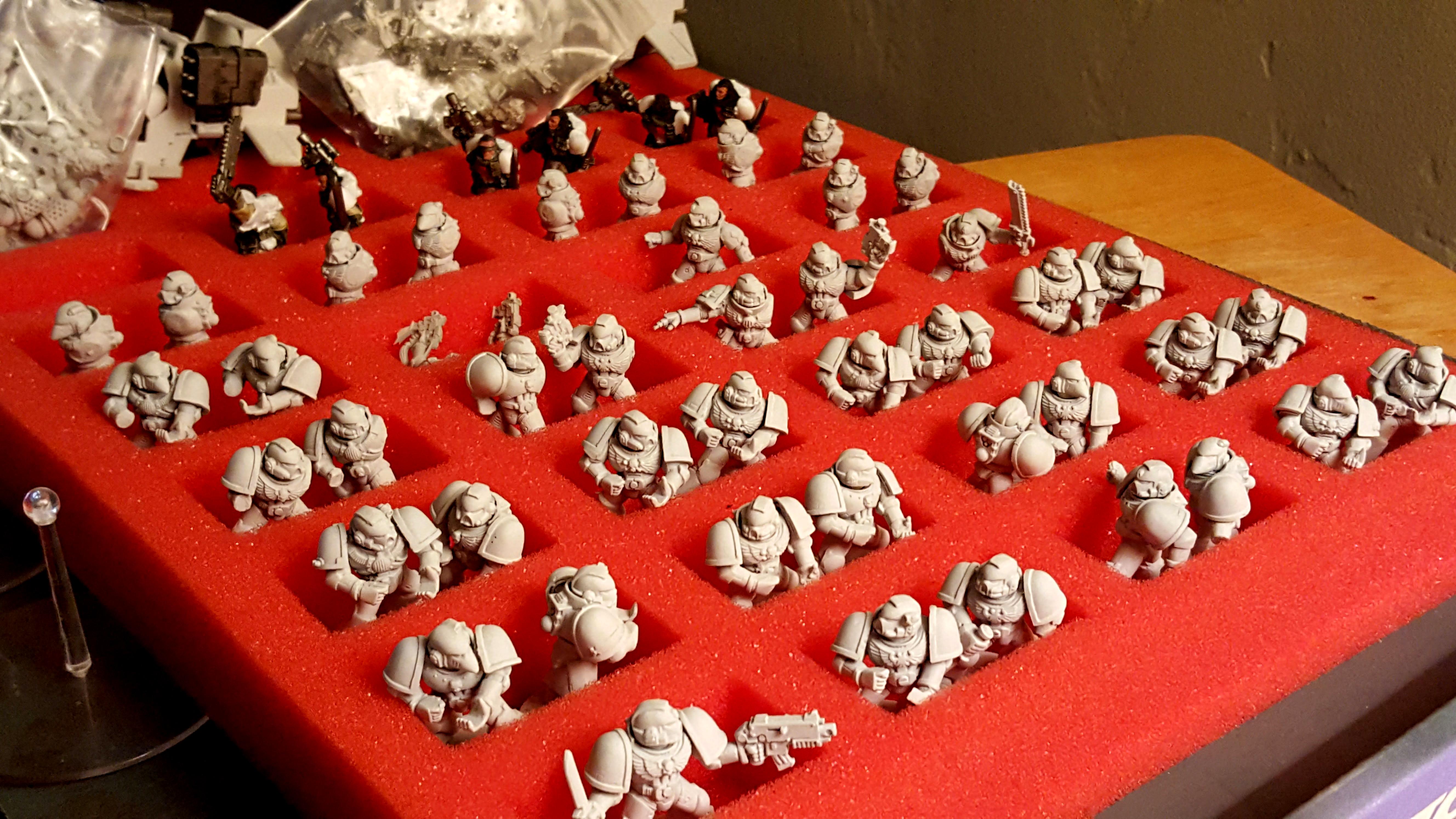 White Scars Gladius WIP