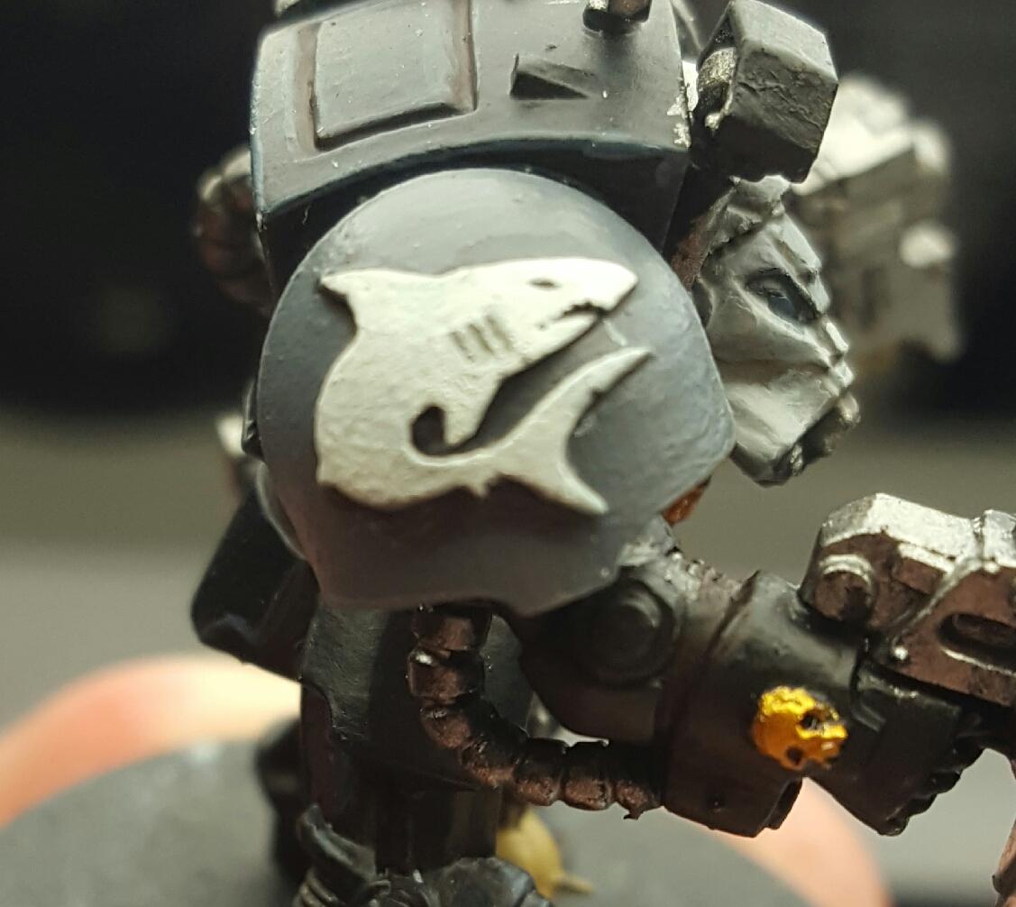Carcharodons pauldron