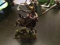Wood Elves Wildrider 7
