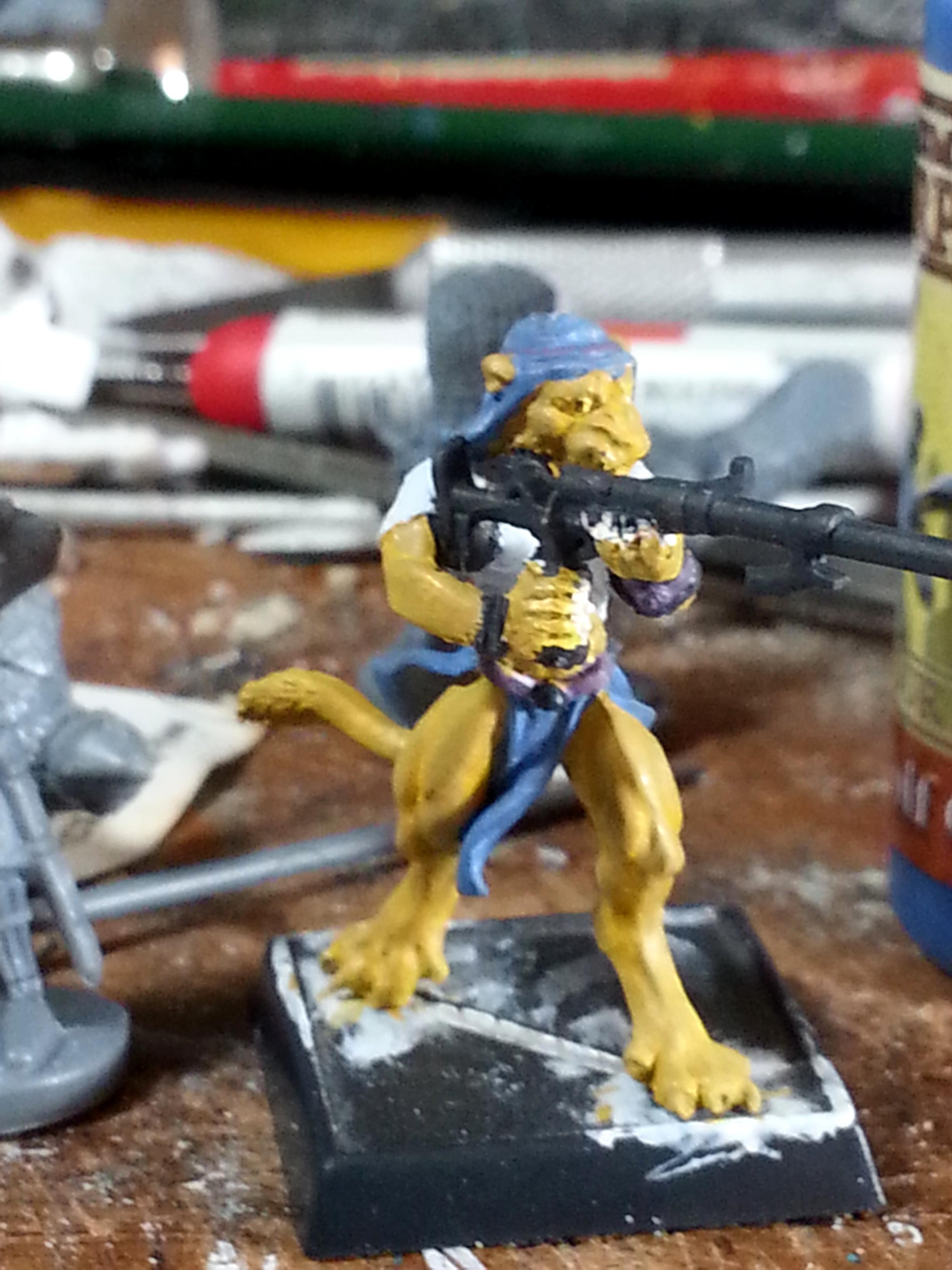 Cat Woman Conversion, Dakka Painting Challenge 2017, Kitty, Reaper, Rifle