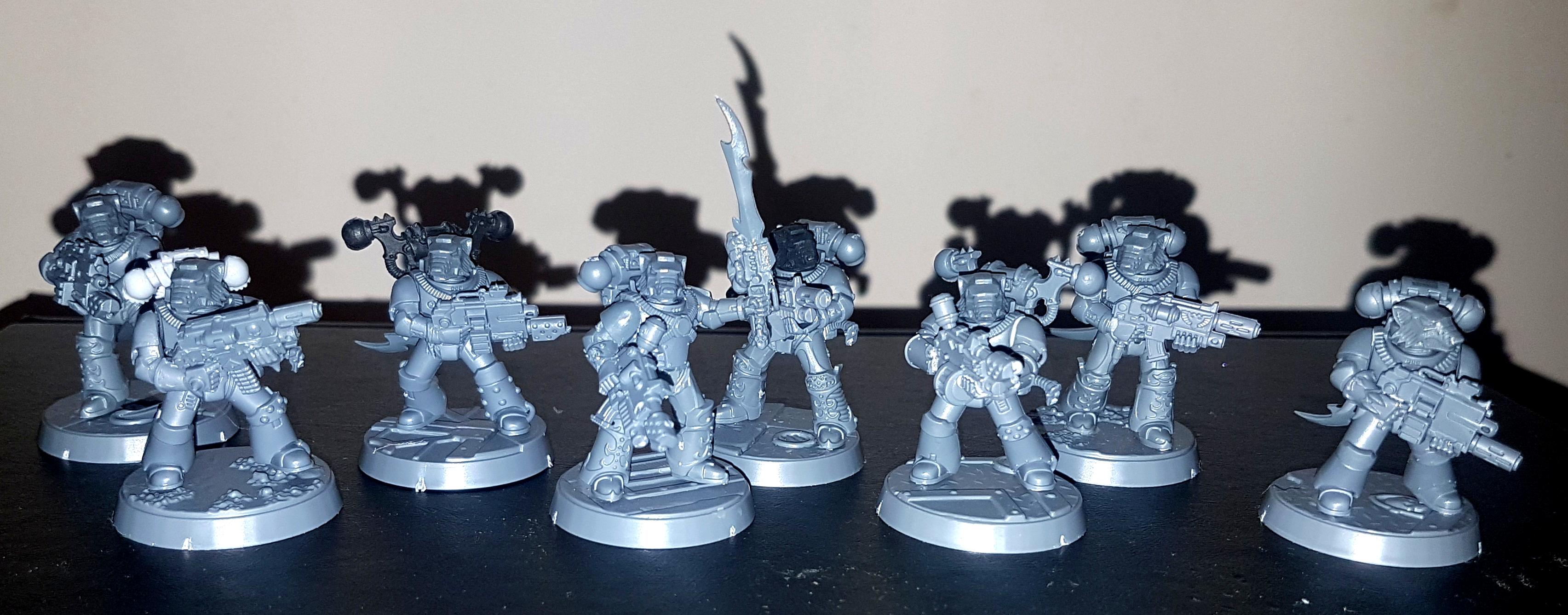 Firewolf Sternguard 