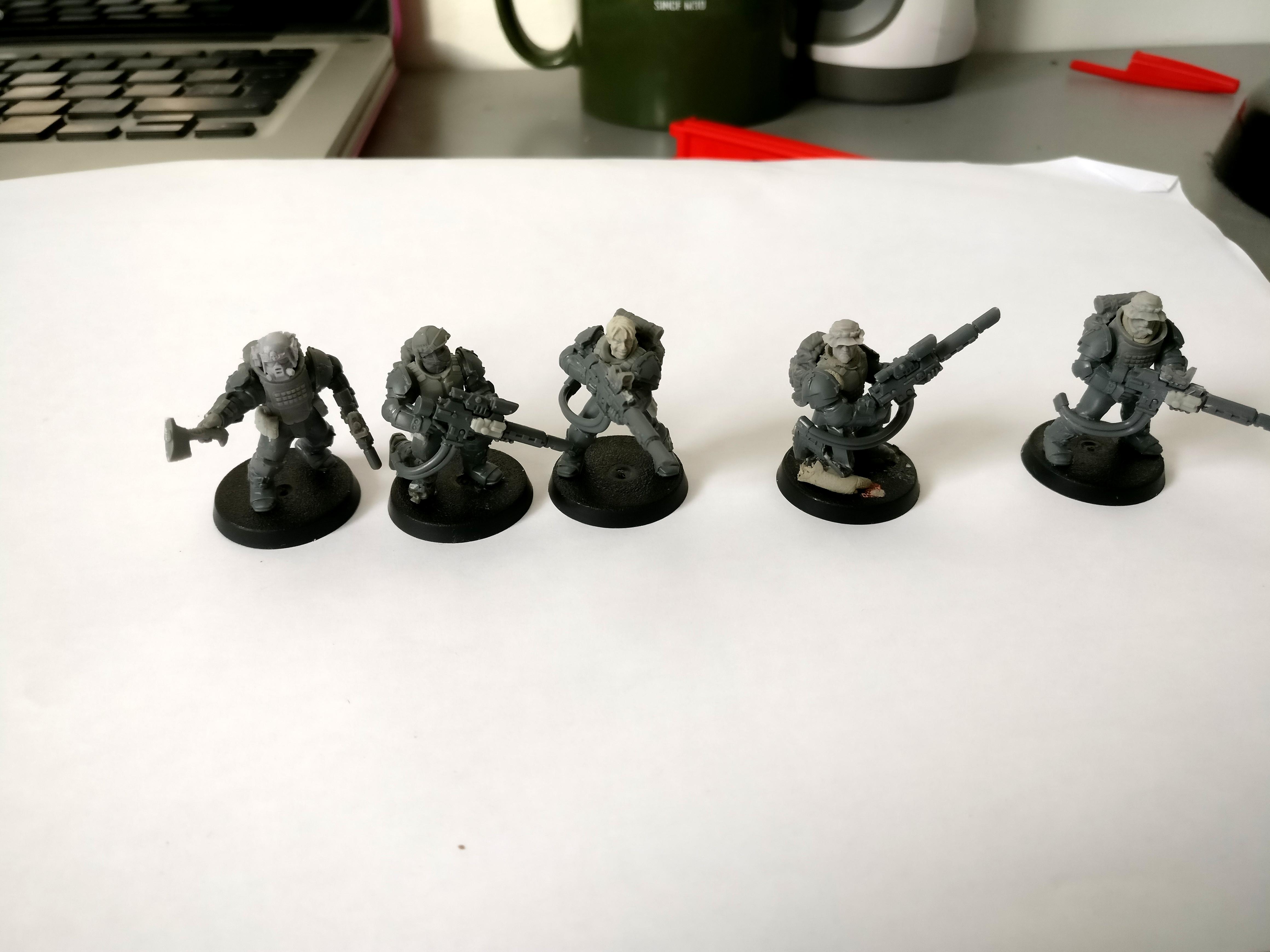SF scions