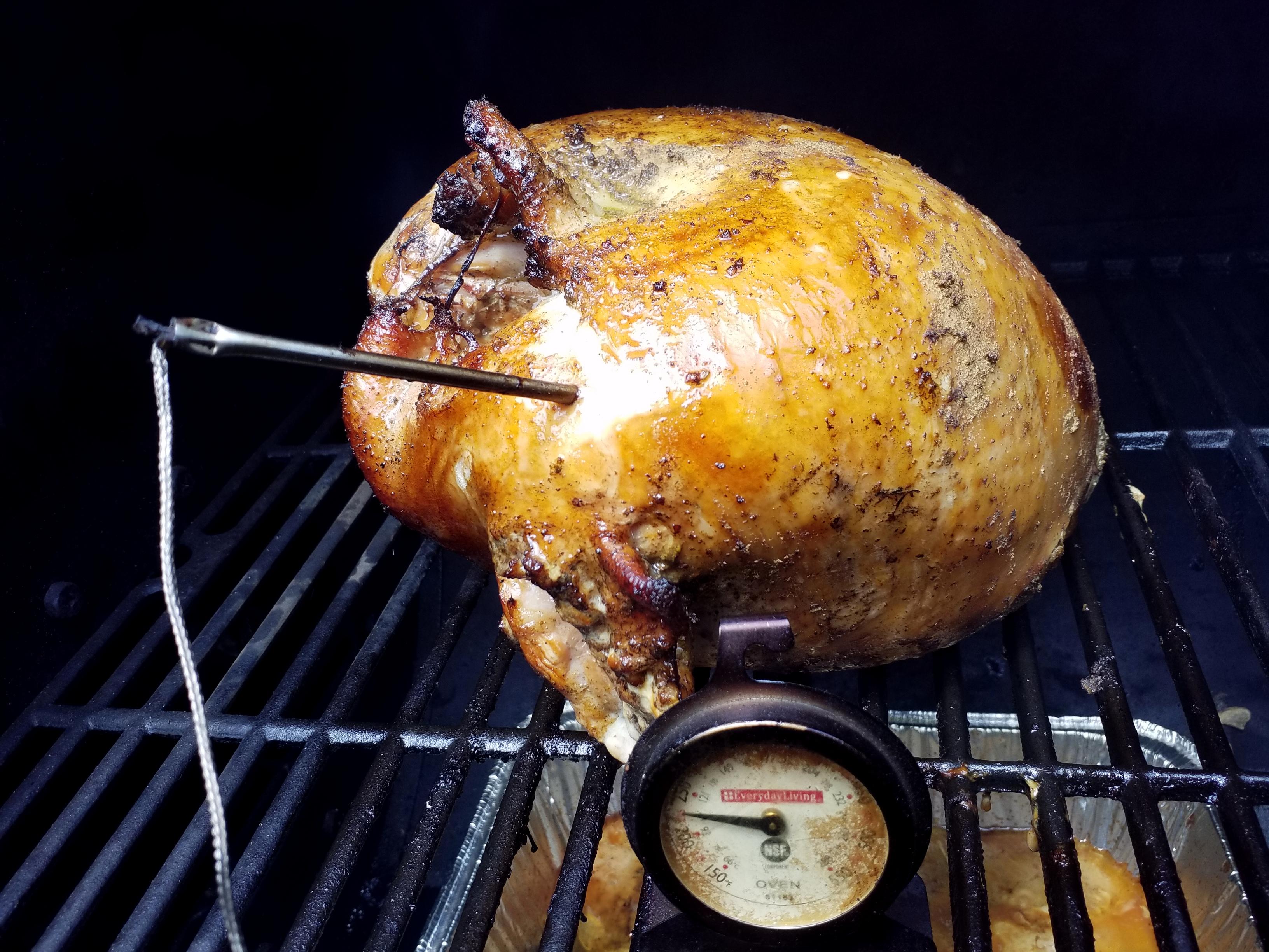 Turkey, Painting a weathered turkey reference