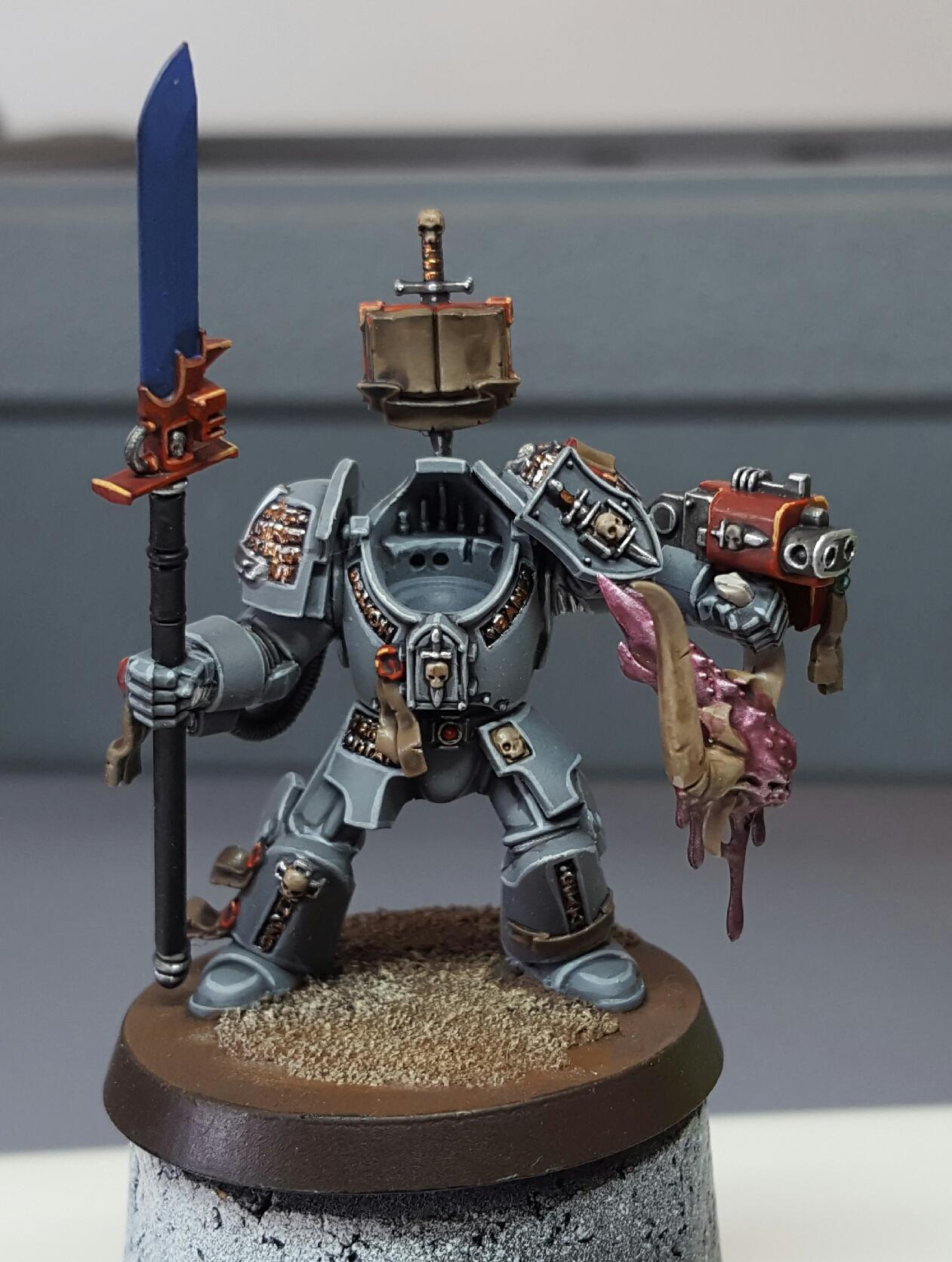 Paladin 2 WIP 5
