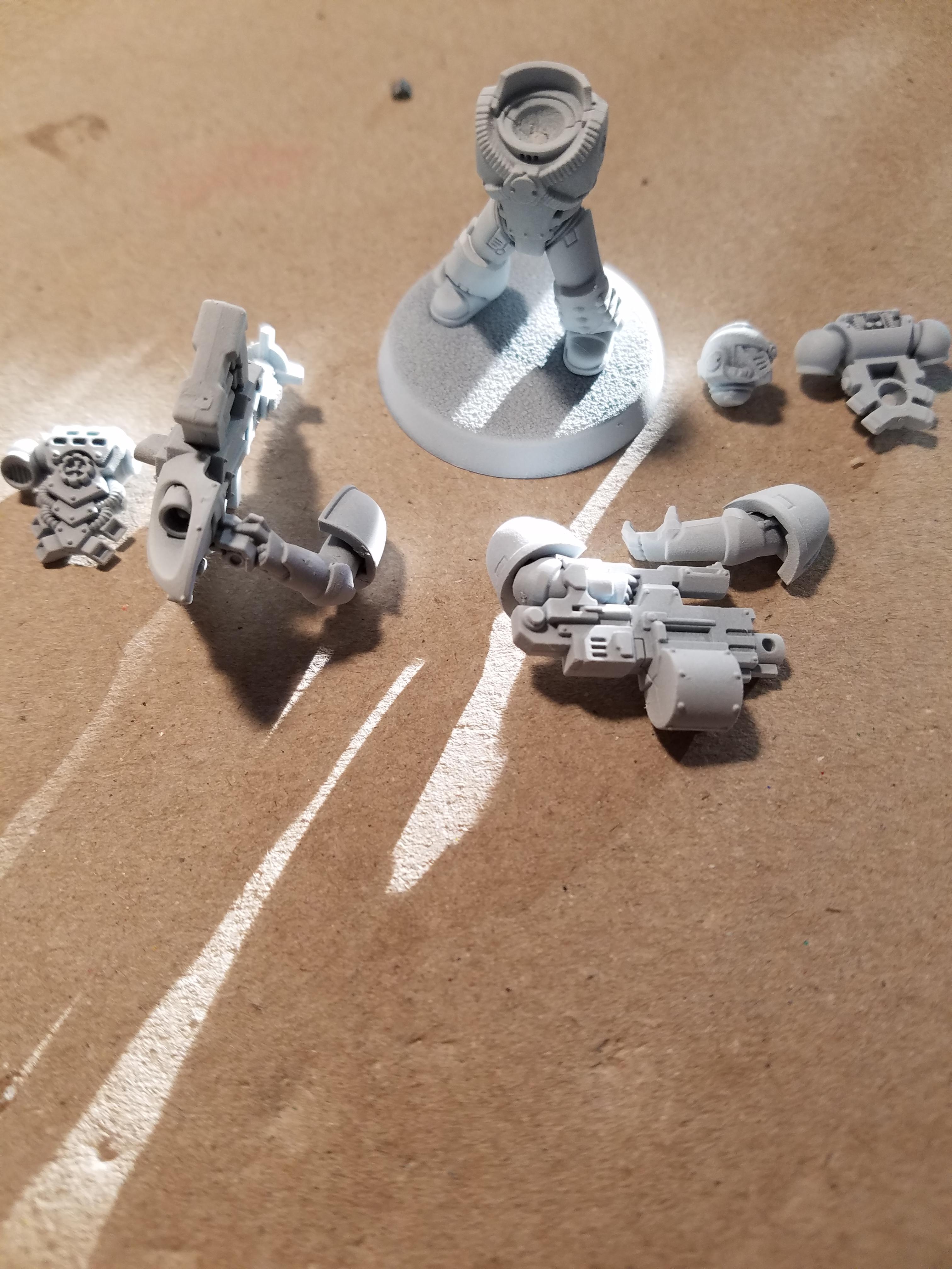 Carcharadons, Magnet, Space Sharks, Work In Progress