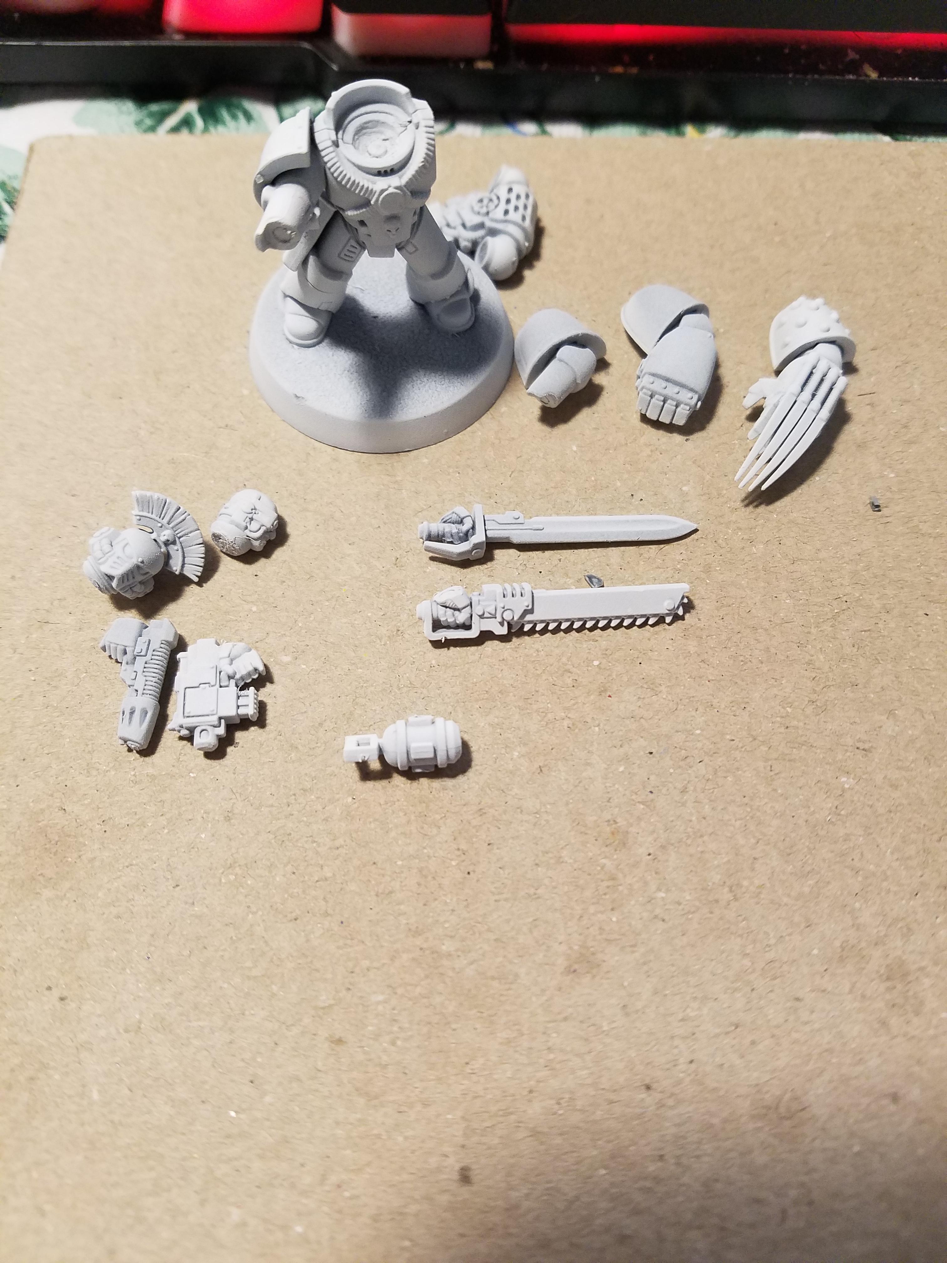 Carcharadons, Magnet, Space Sharks, Work In Progress