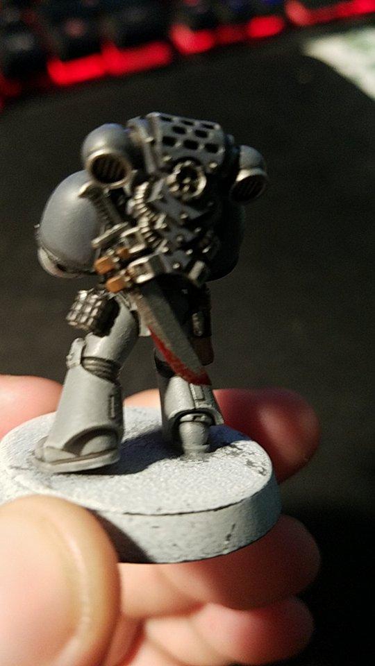 Carcharadons, Space Sharks, Work In Progress