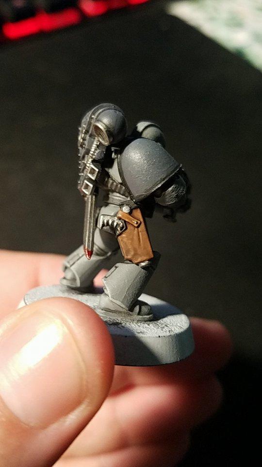 Carcharadons, Space Sharks, Work In Progress