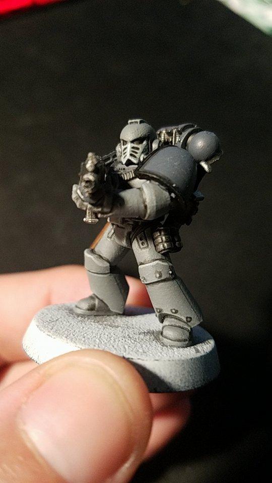 Carcharadons, Space Sharks, Work In Progress
