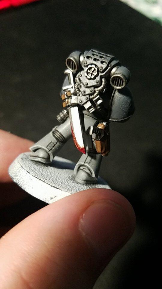 Carcharadons, Space Sharks, Work In Progress