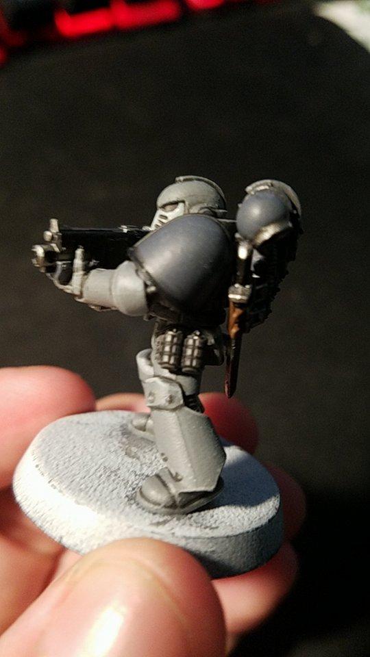 Carcharadons, Space Sharks, Work In Progress