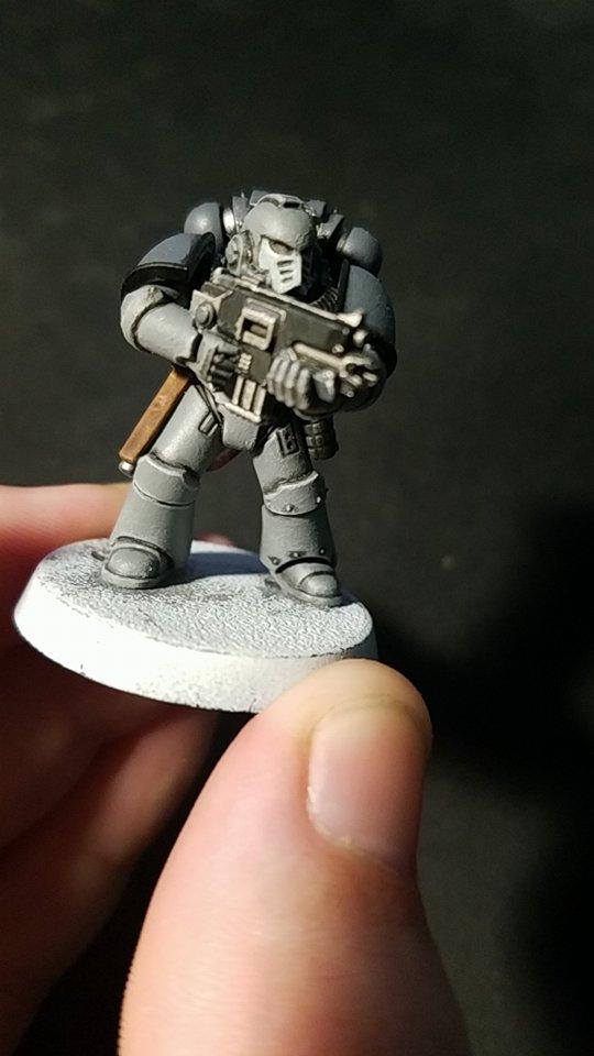 Carcharadons, Space Sharks, Work In Progress