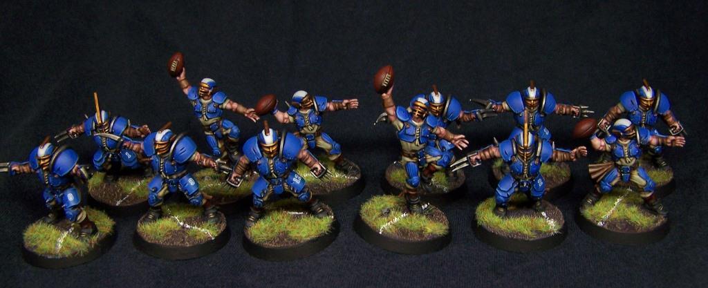 Reikland Reavers 1