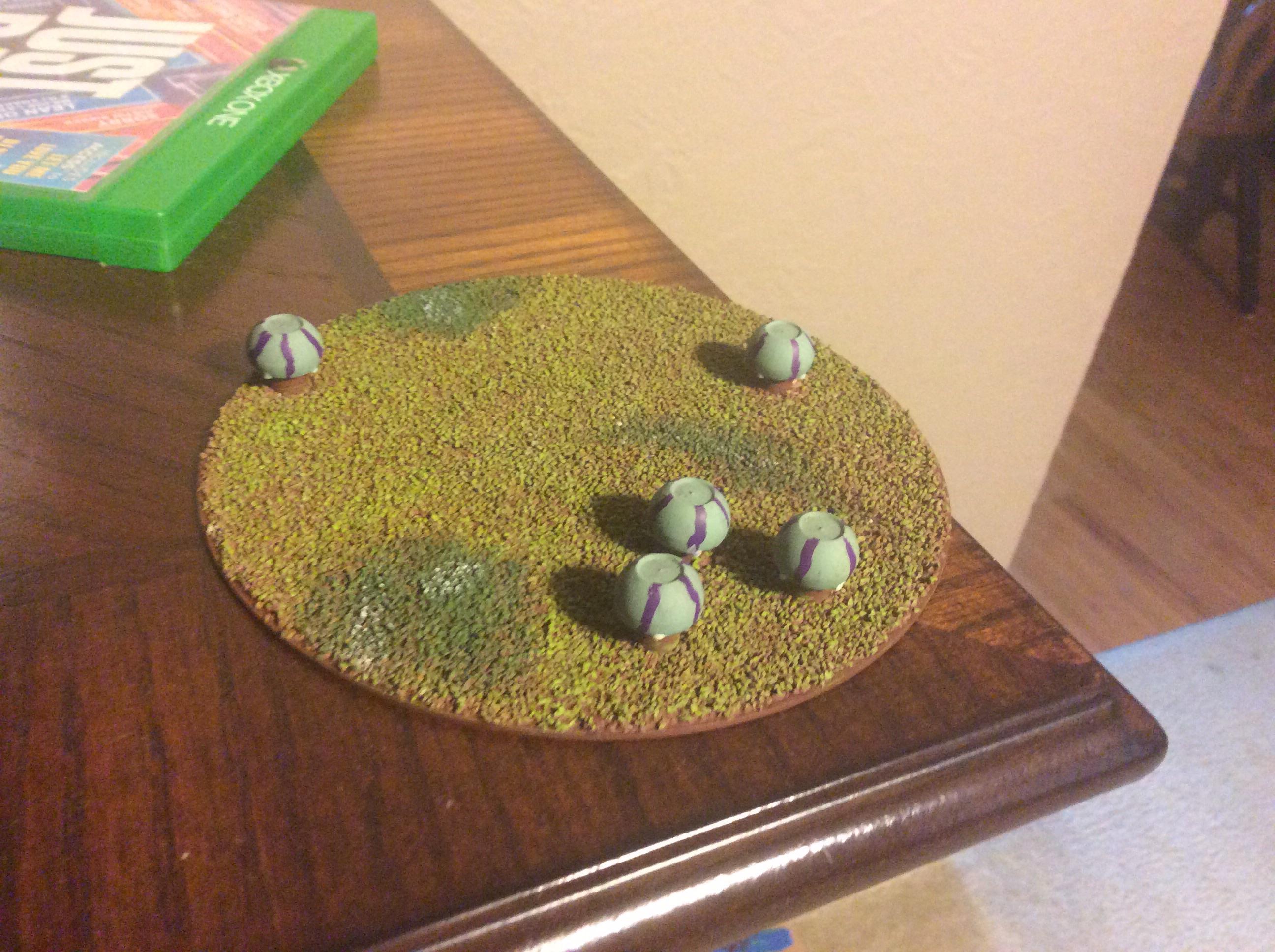 Painted whartleberry patch