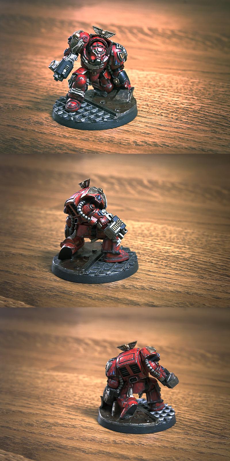Blood Angels, Scipio, Space Hulk, Terminiator