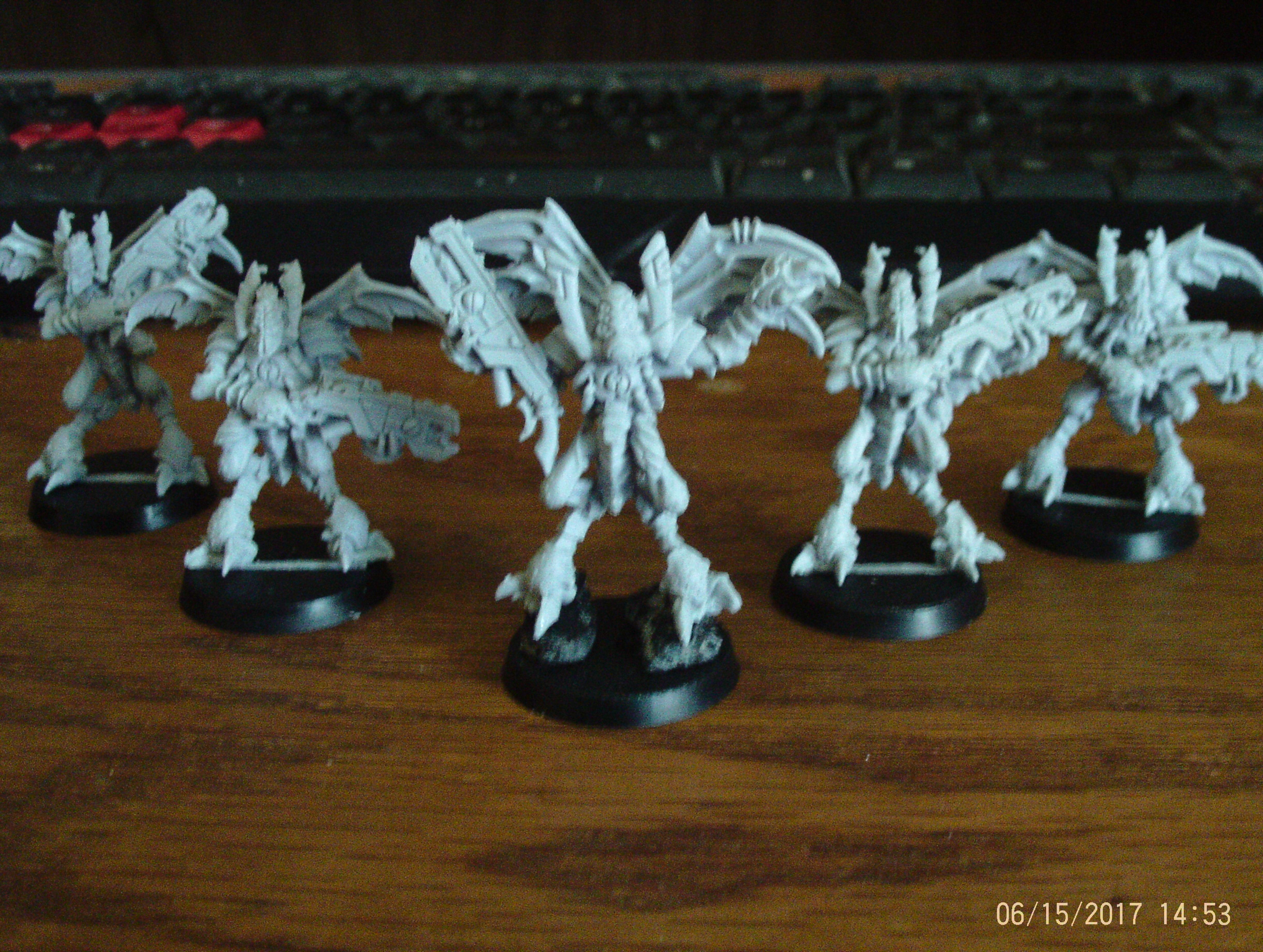 Vespid Stingwings assembled