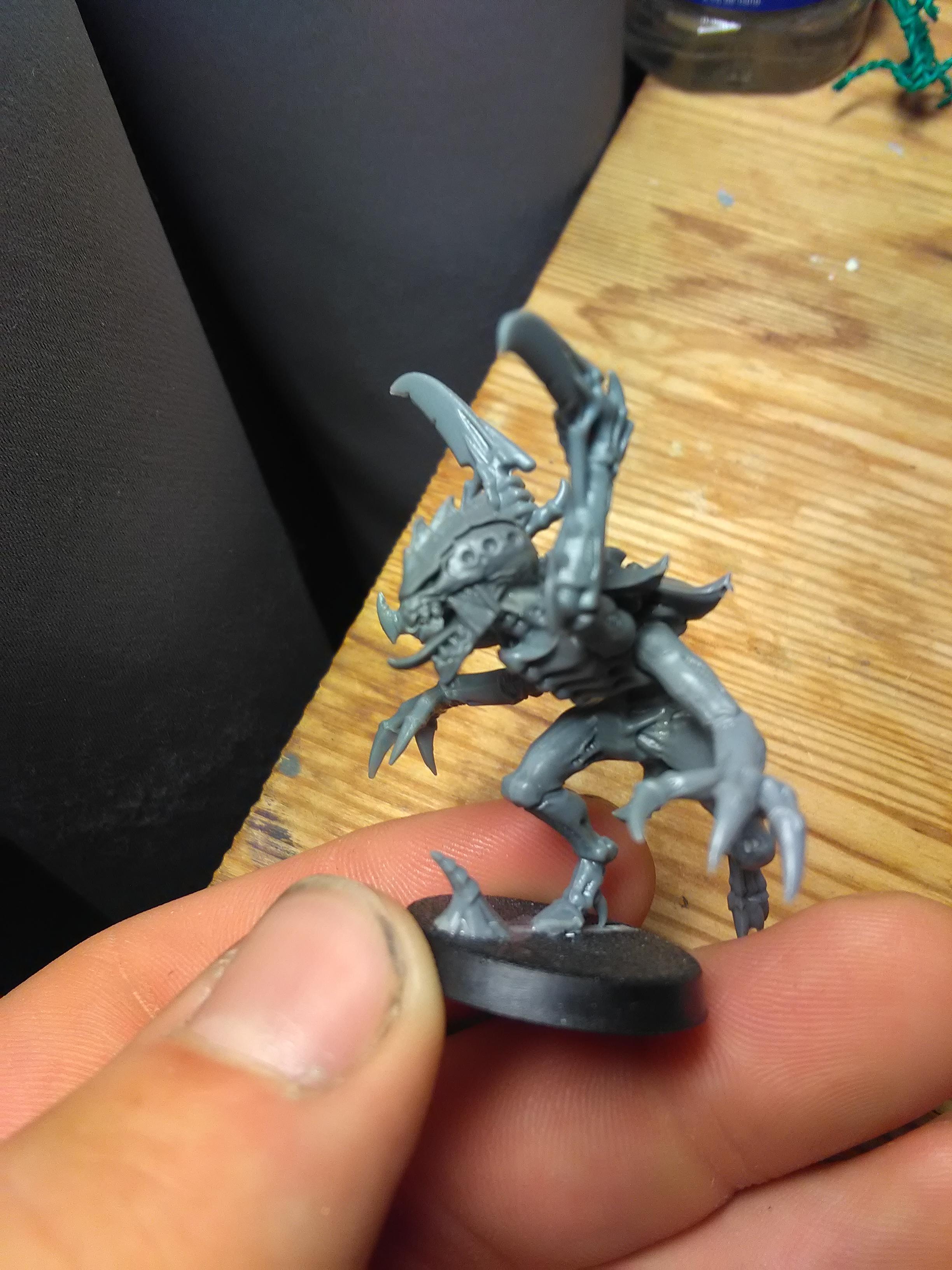 Orks, genestealer