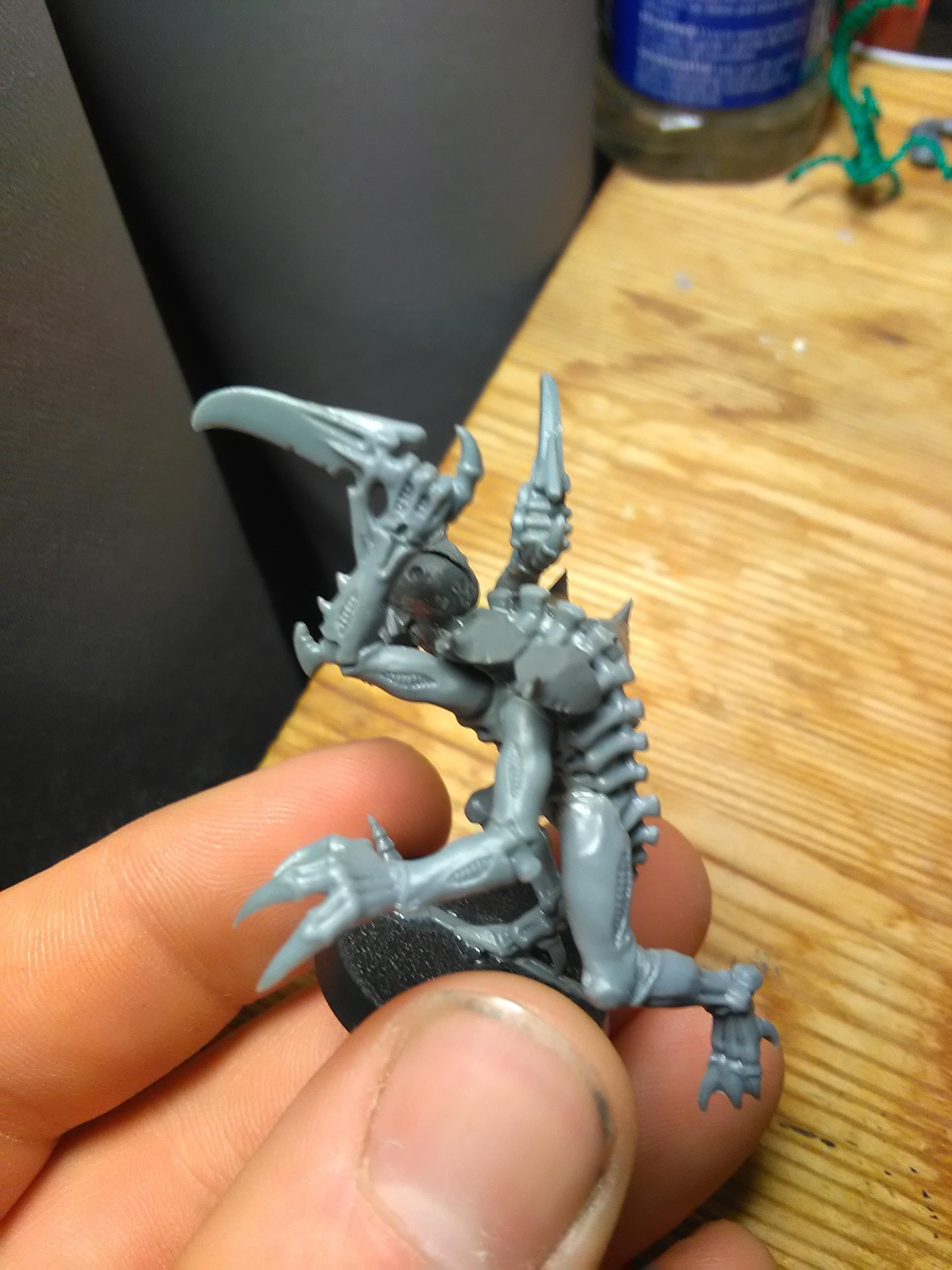 Orks, genestealer