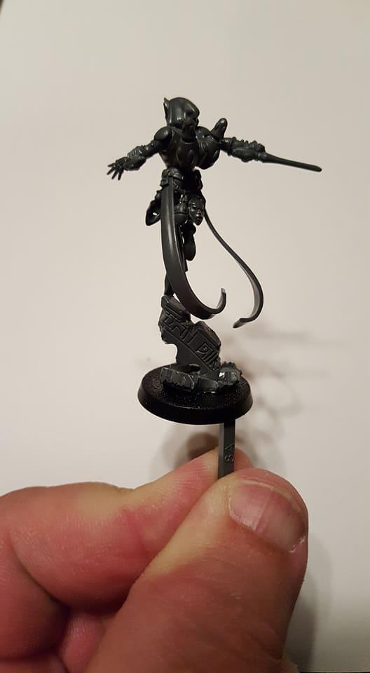 Harlequins, Solitaire