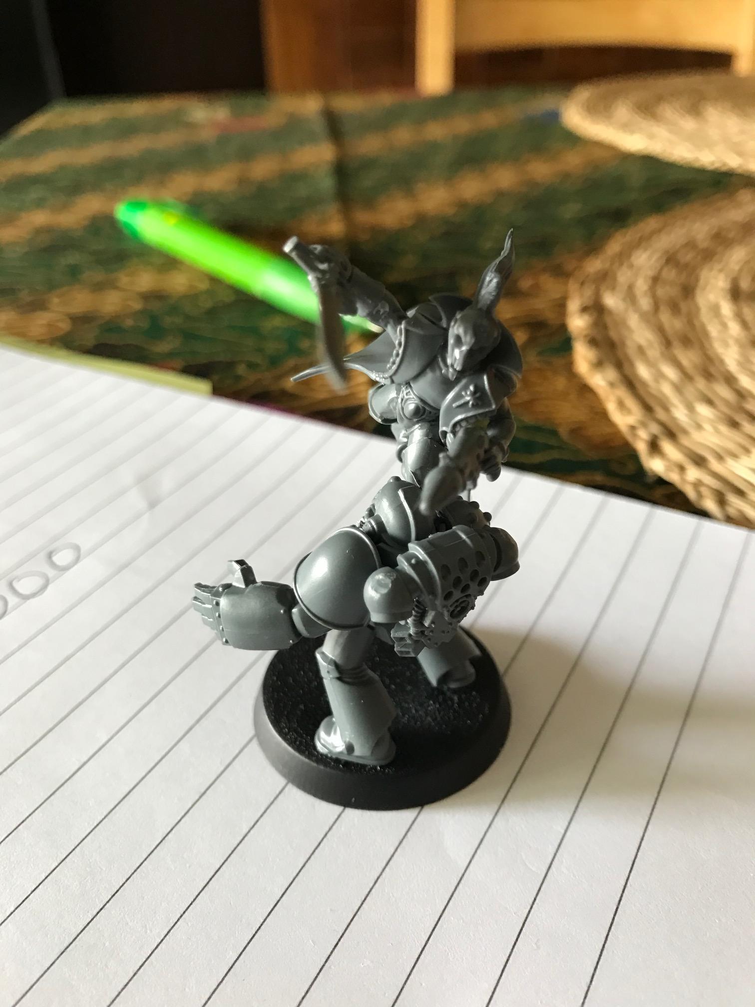 HarlequinMarine2