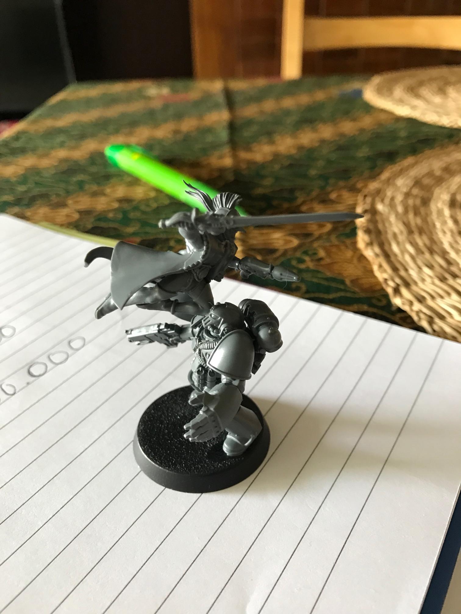 HarlequinMarine1