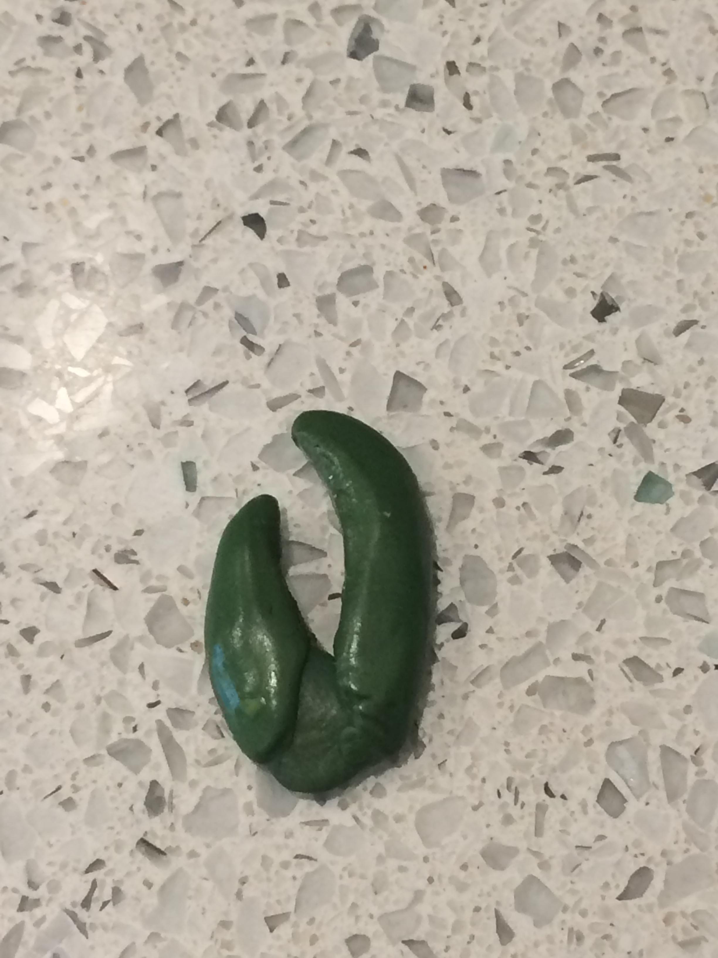 Beginnings of claw