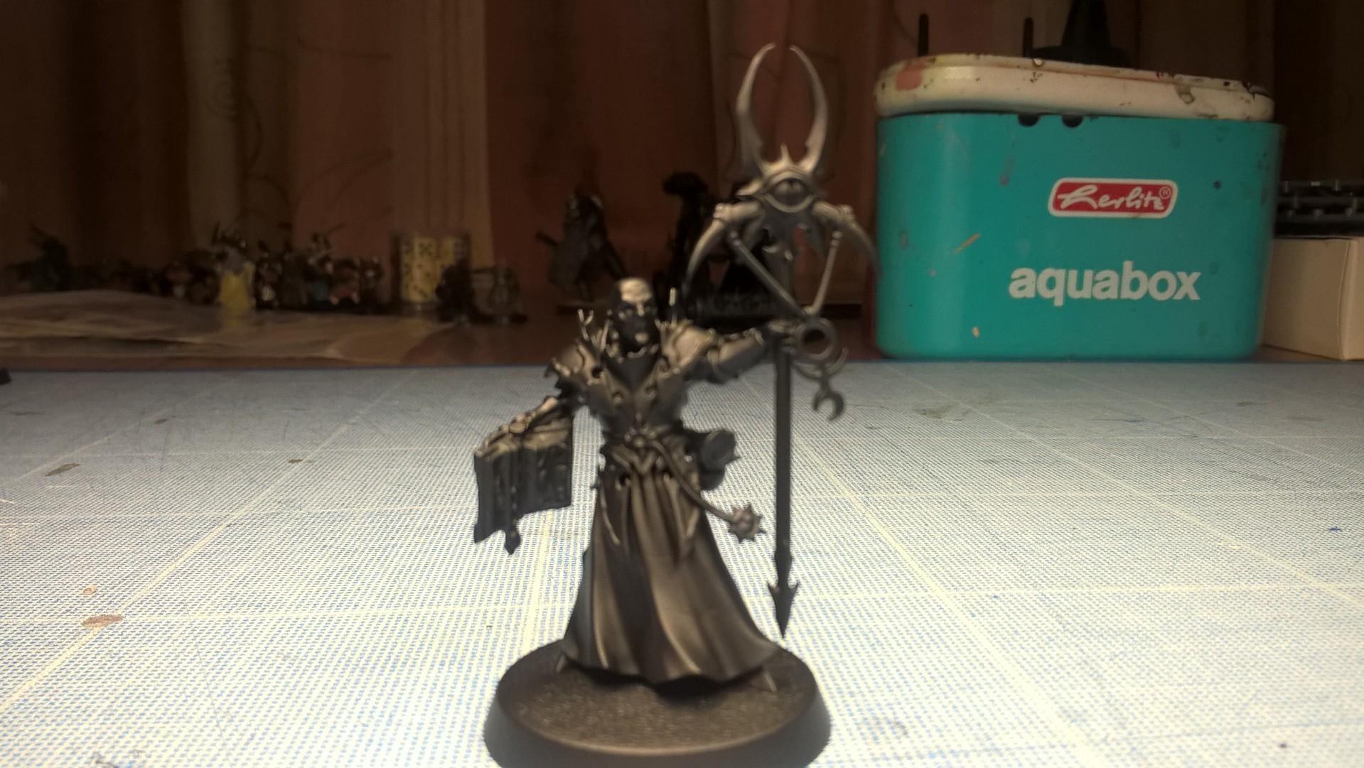 Age Of Sigmar, Army, Chaos, Slaanesh, Warband