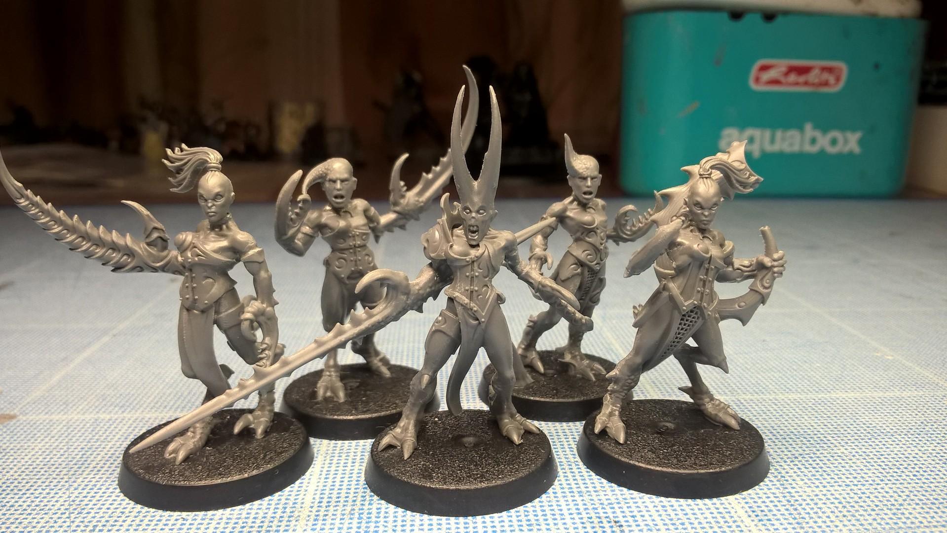 Age Of Sigmar, Army, Chaos, Slaanesh, Warband