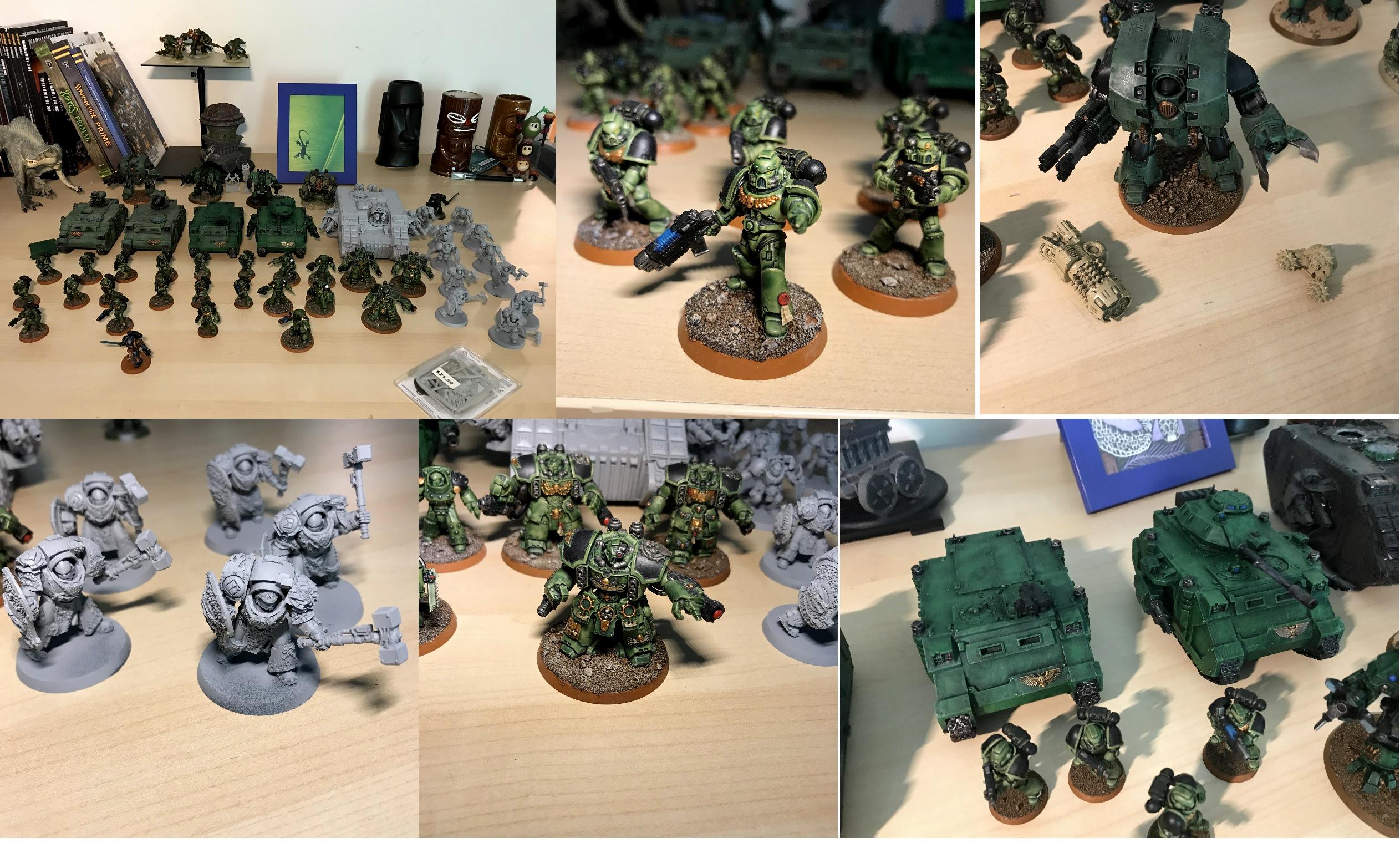 Salamanders