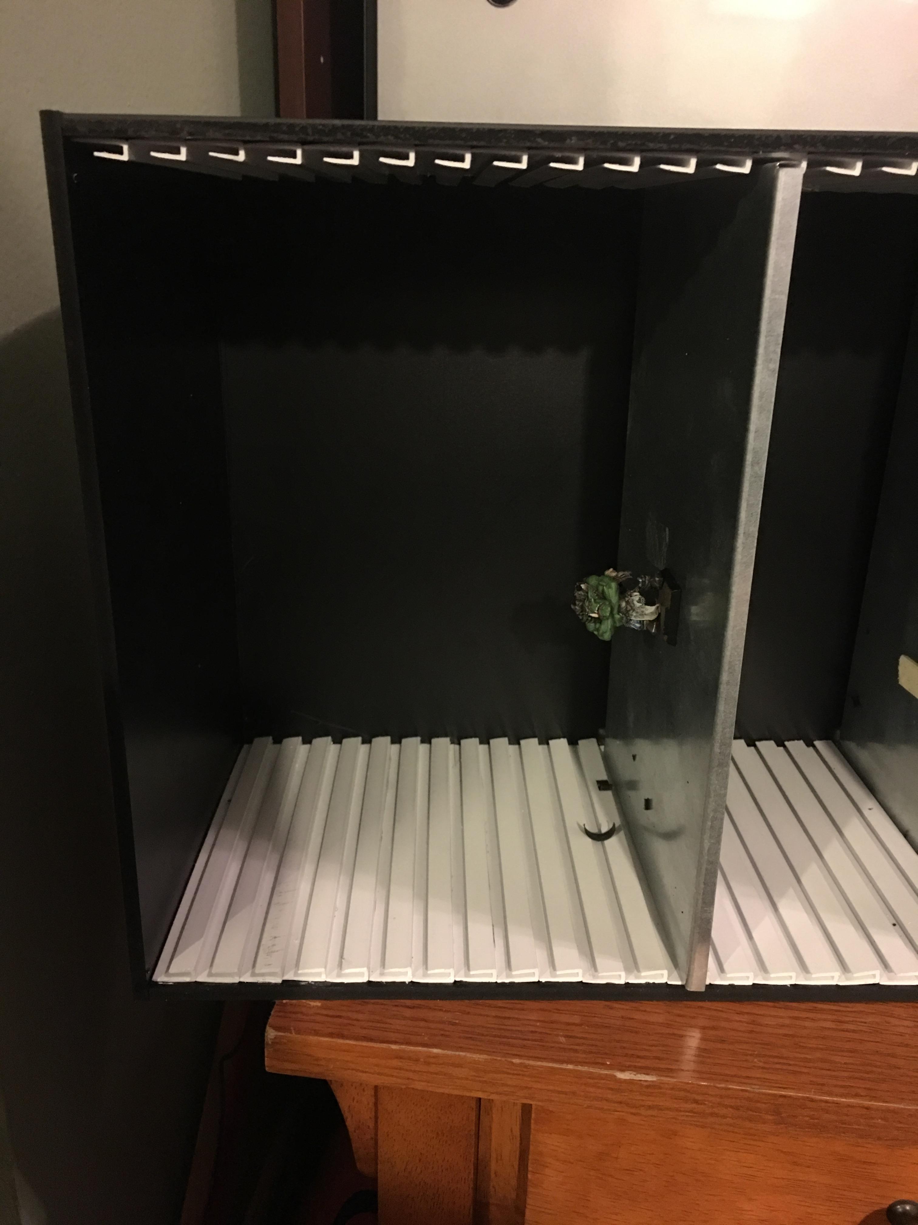 WIP Case/Display