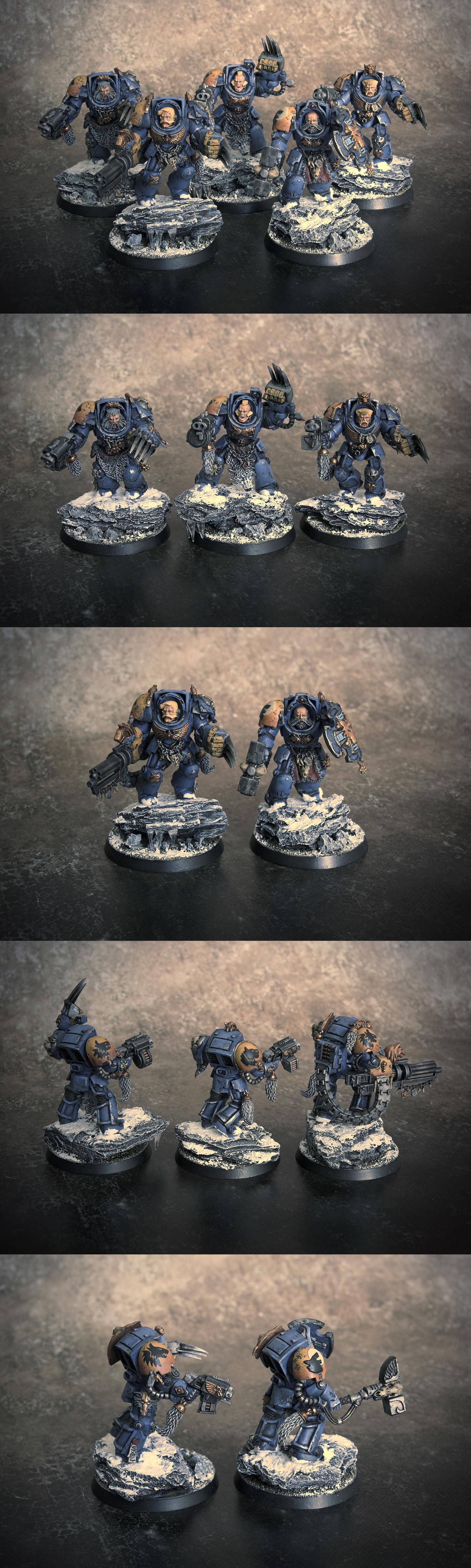 Guard, Terminator Armor, Wolf, Wolfguard, Wolves