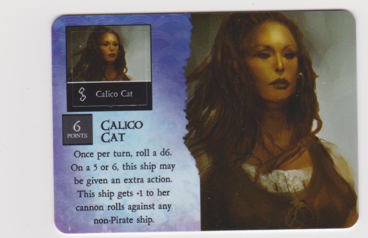 Calico Cat (1) (Pirate)