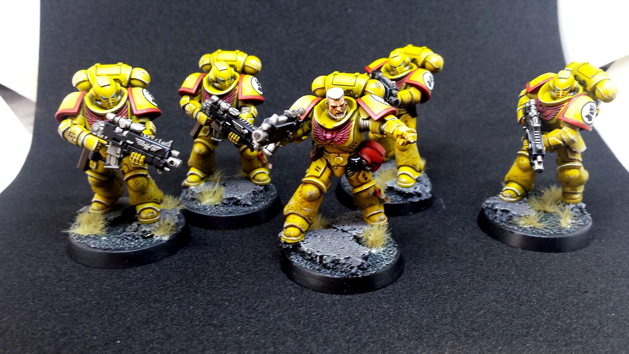 Imperial Fists, Prmiaris Space Marines IntercessorsSquad A