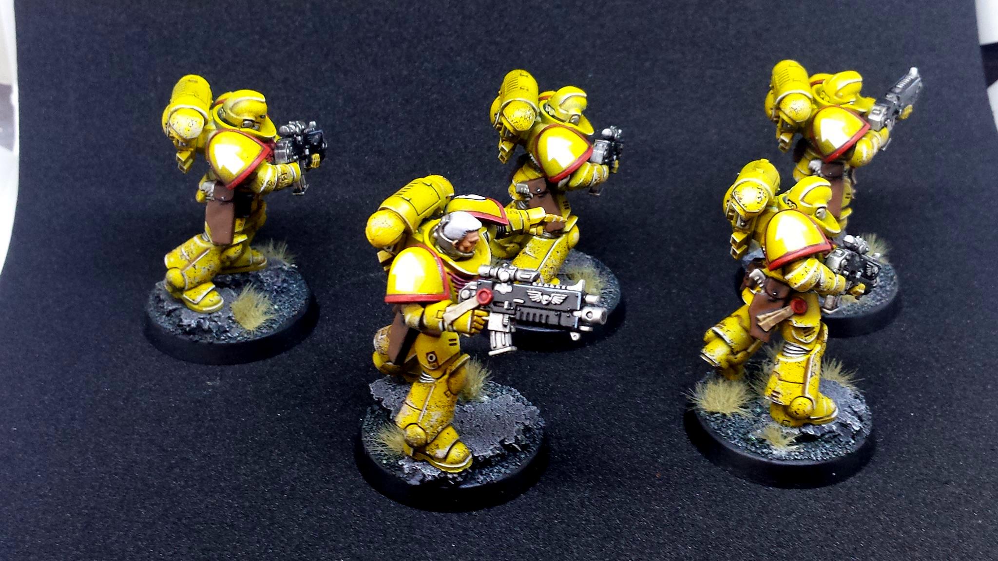 Imperial Fists, Prmiaris Space Marines IntercessorsSquad A