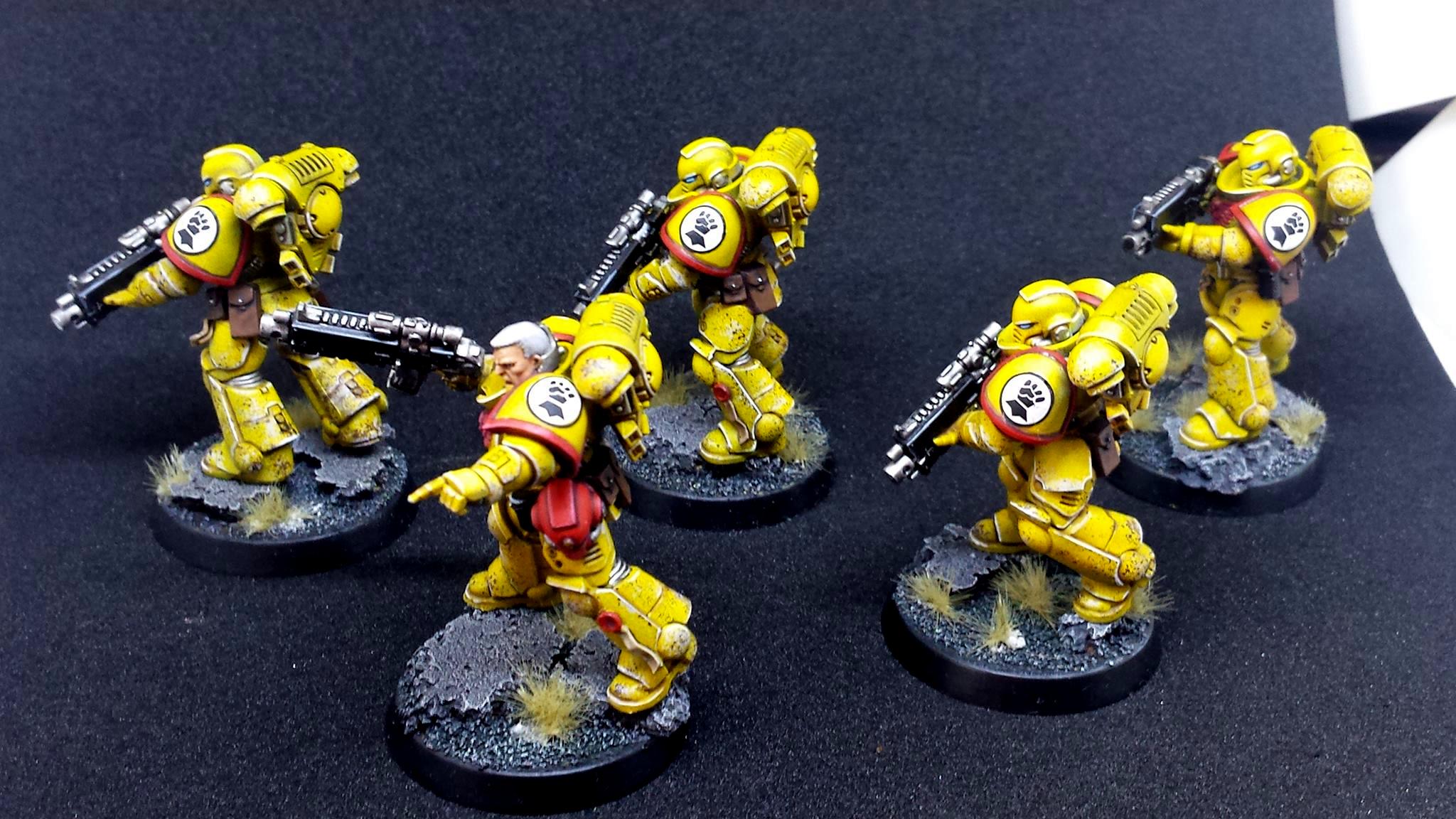Imperial Fists, Prmiaris Space Marines IntercessorsSquad A